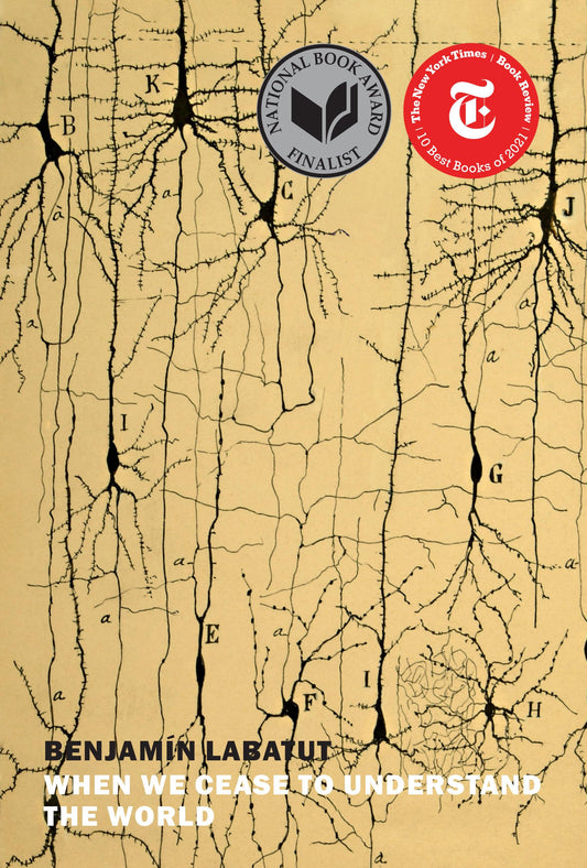 When We Cease to Understand the World book cover
