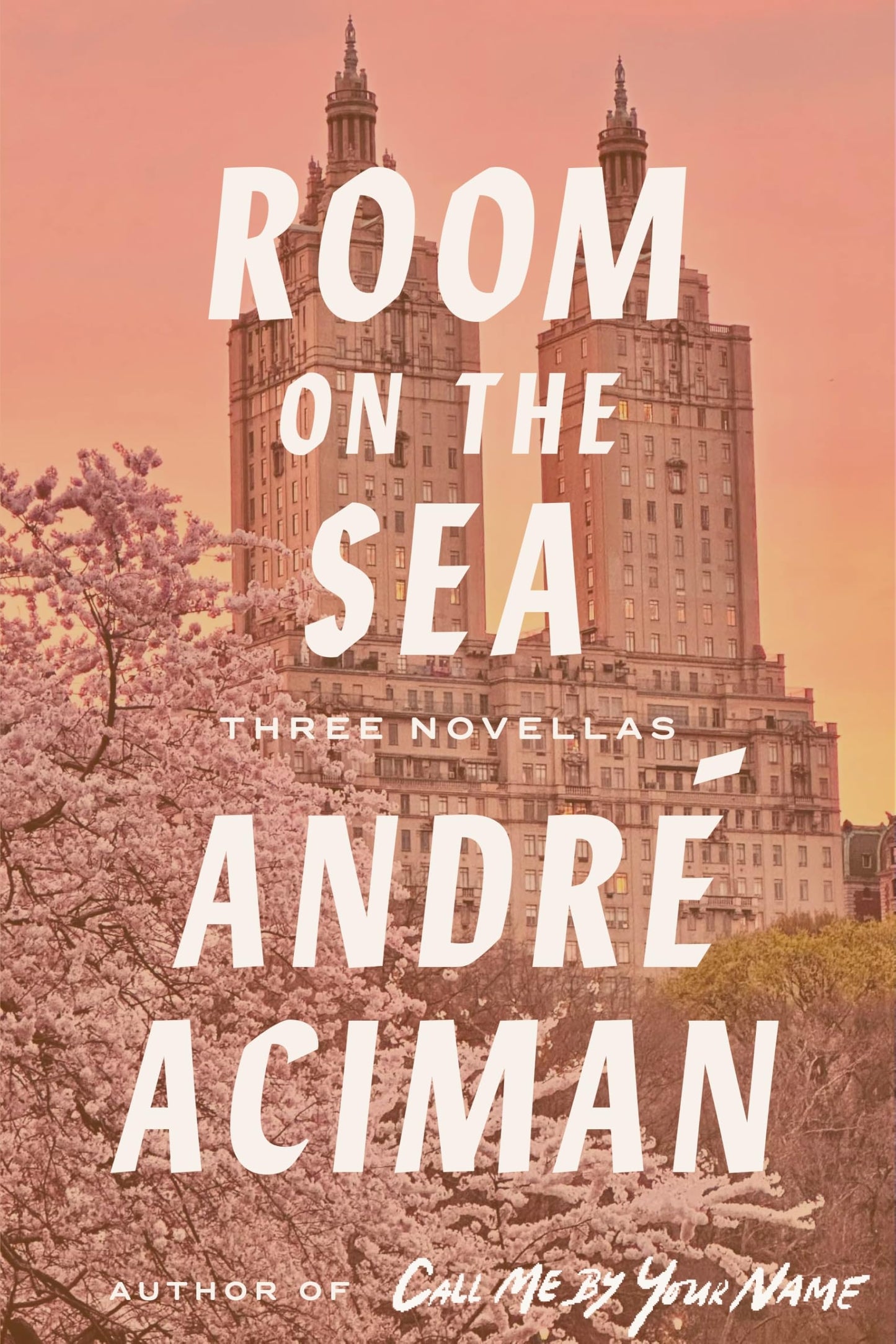 Room on the Sea book cover