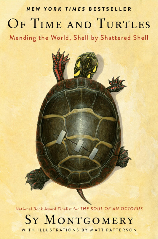 Of Time and Turtles: Mending the World, Shell by Shattered Shell