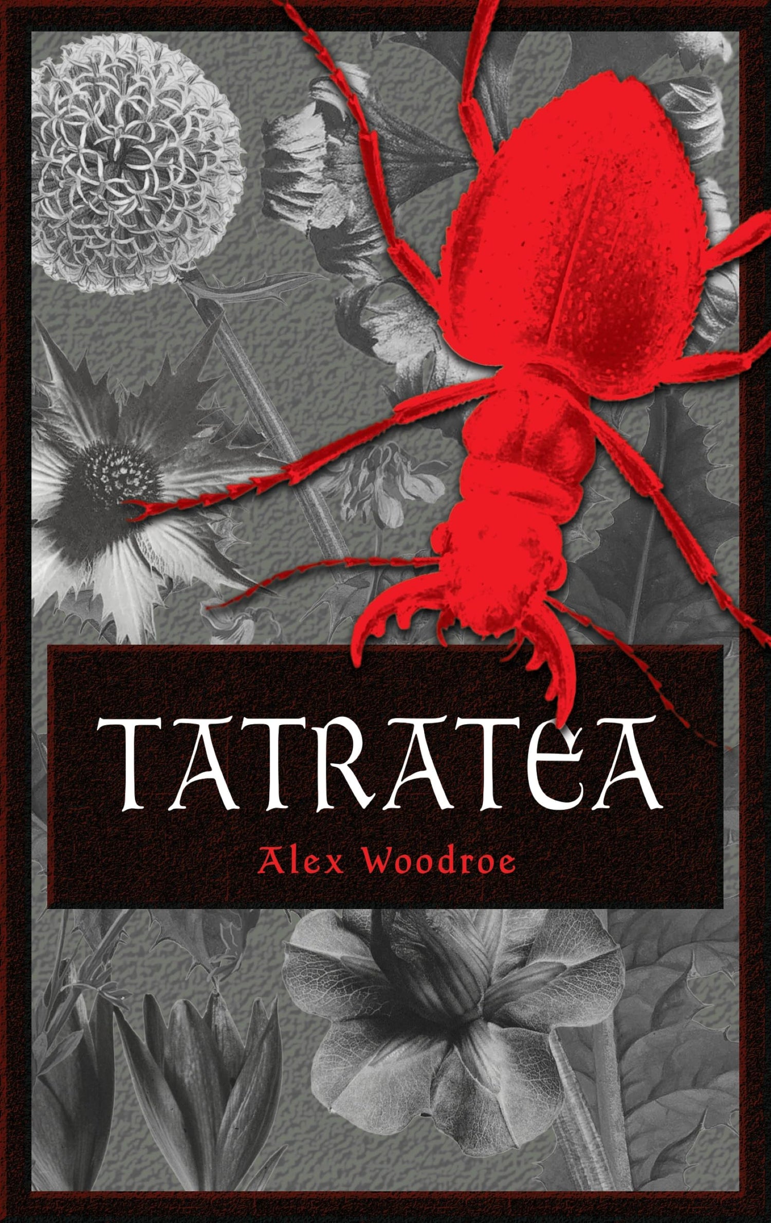 Tatratea book cover