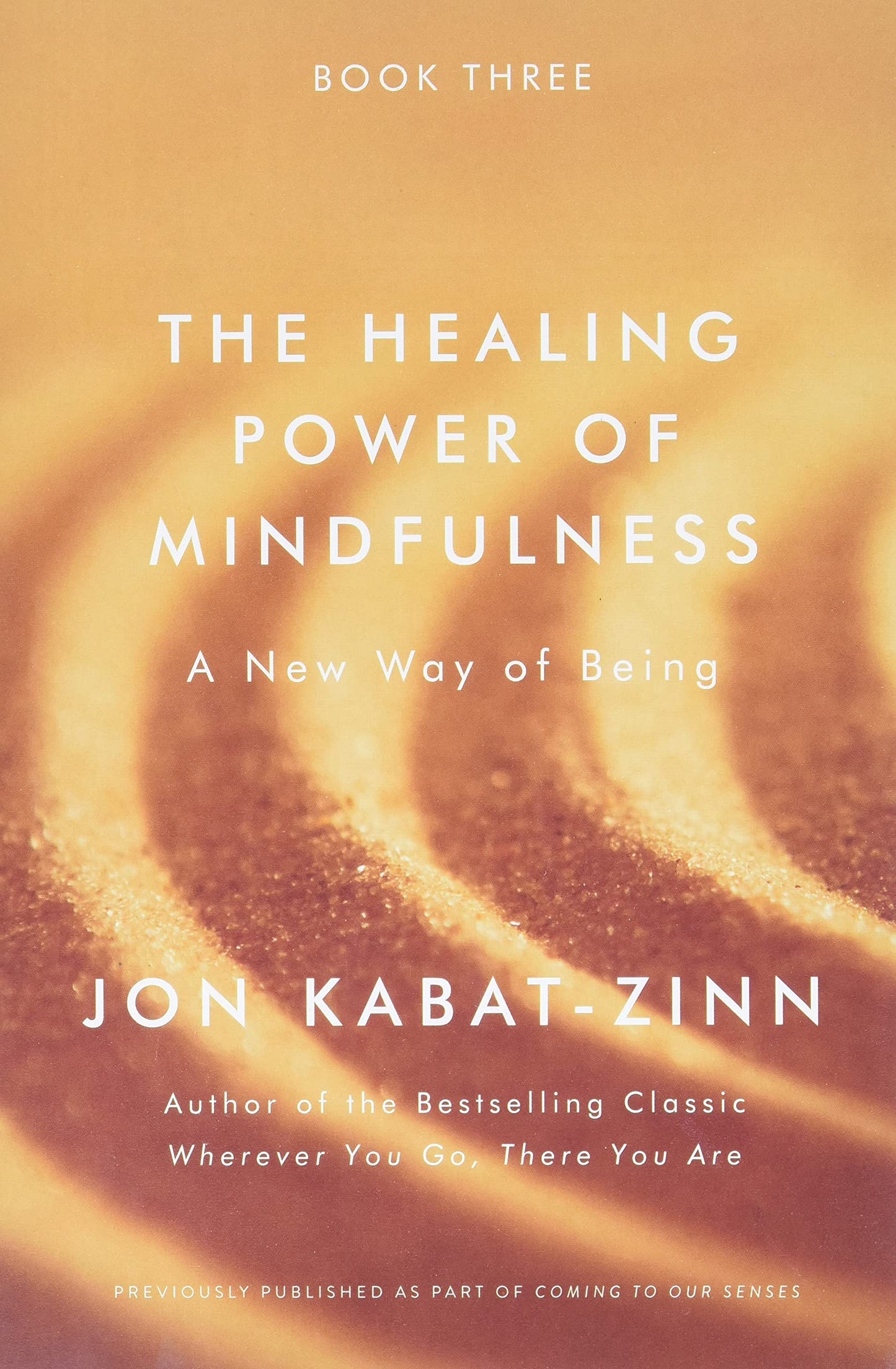 The Healing Power of Mindfulness: A New Way of Being