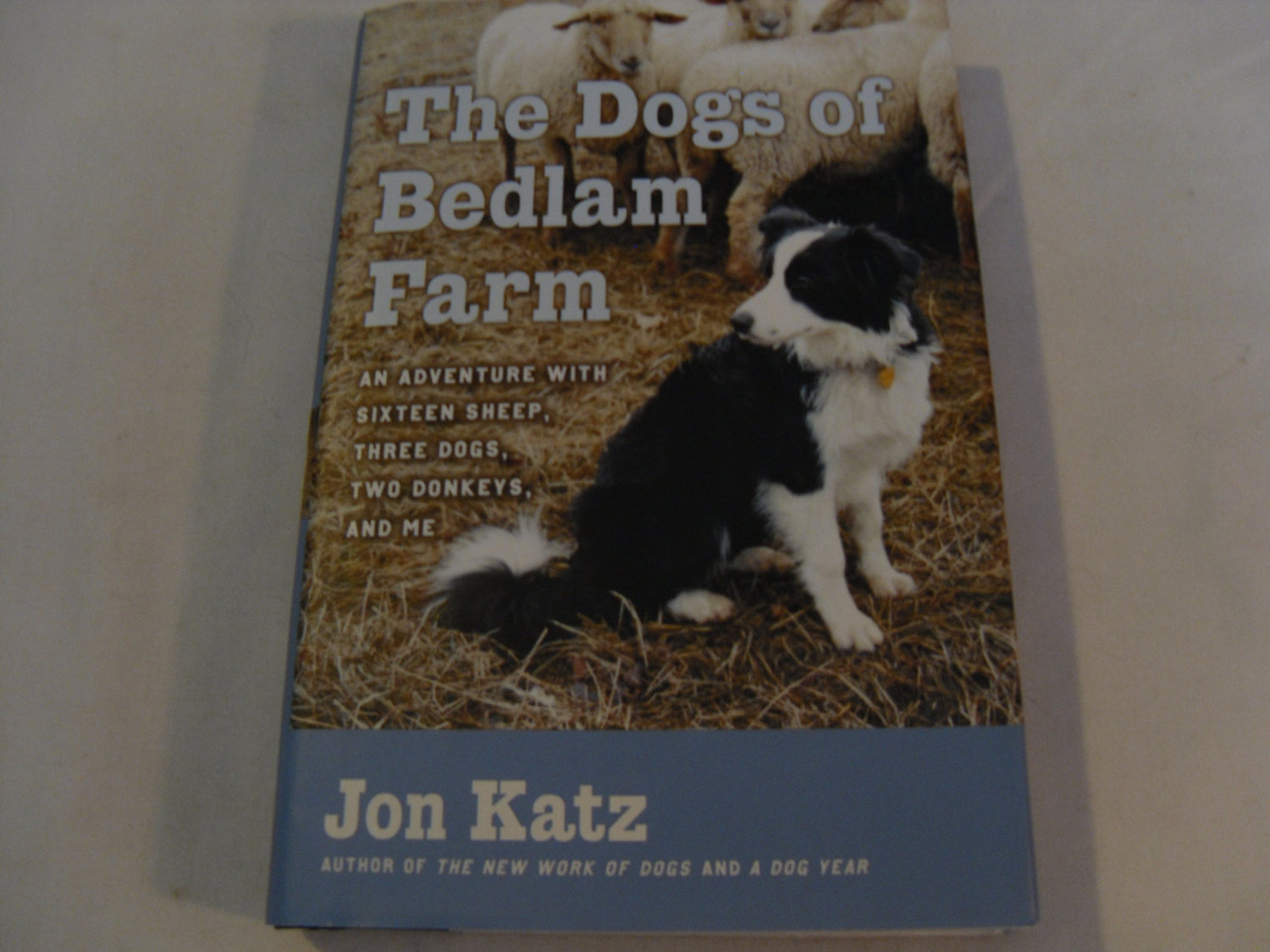 Dogs of Bedlam Farm: An Adventure with Sixteen Sheep, Three Dogs, Two Donkeys, and Me book cover