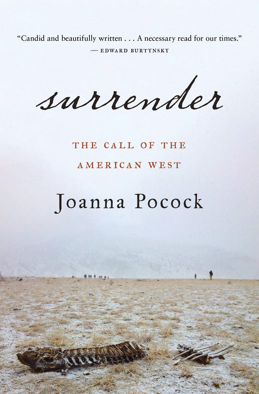 Surrender book cover