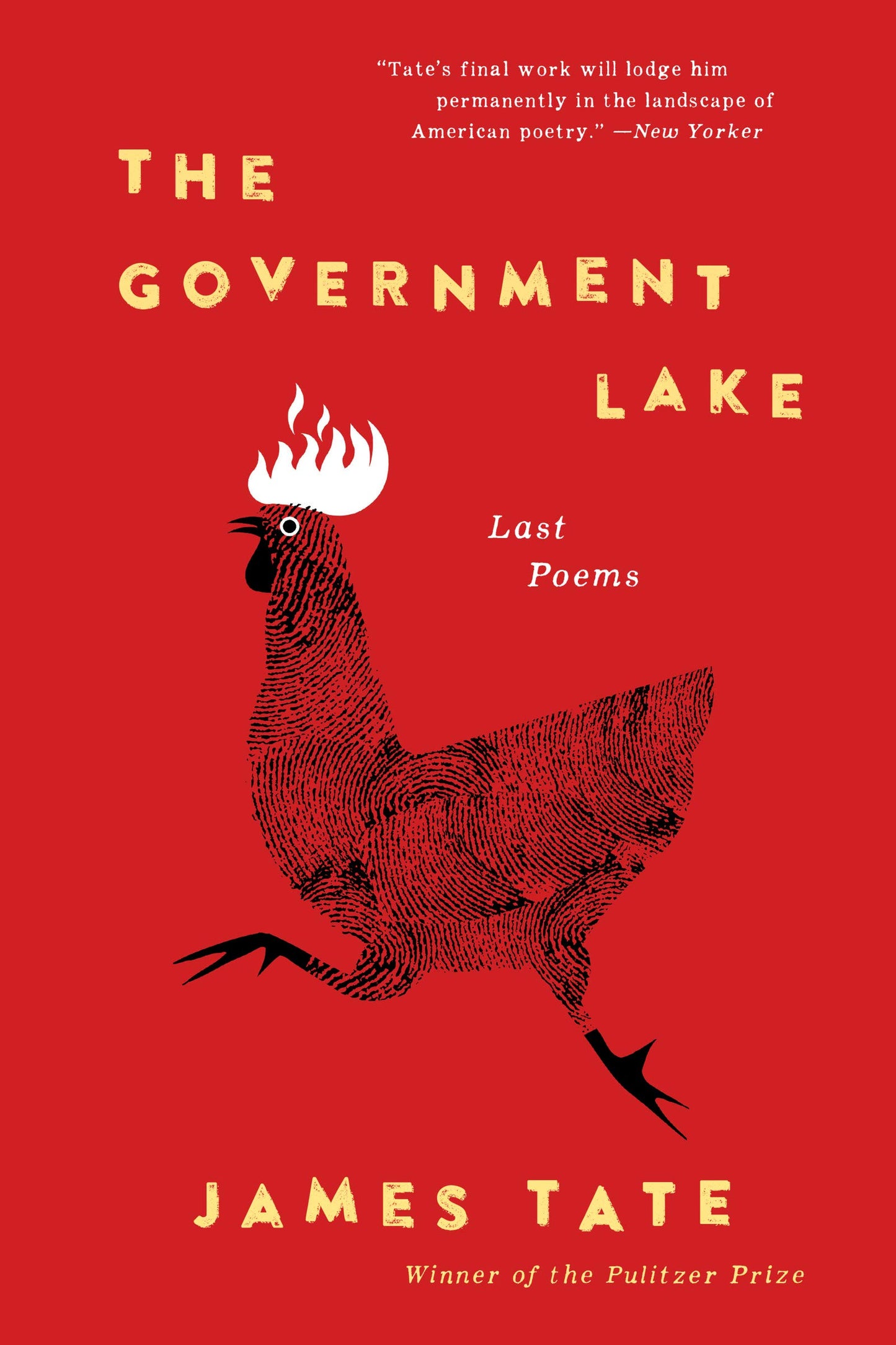 The Government Lake book cover