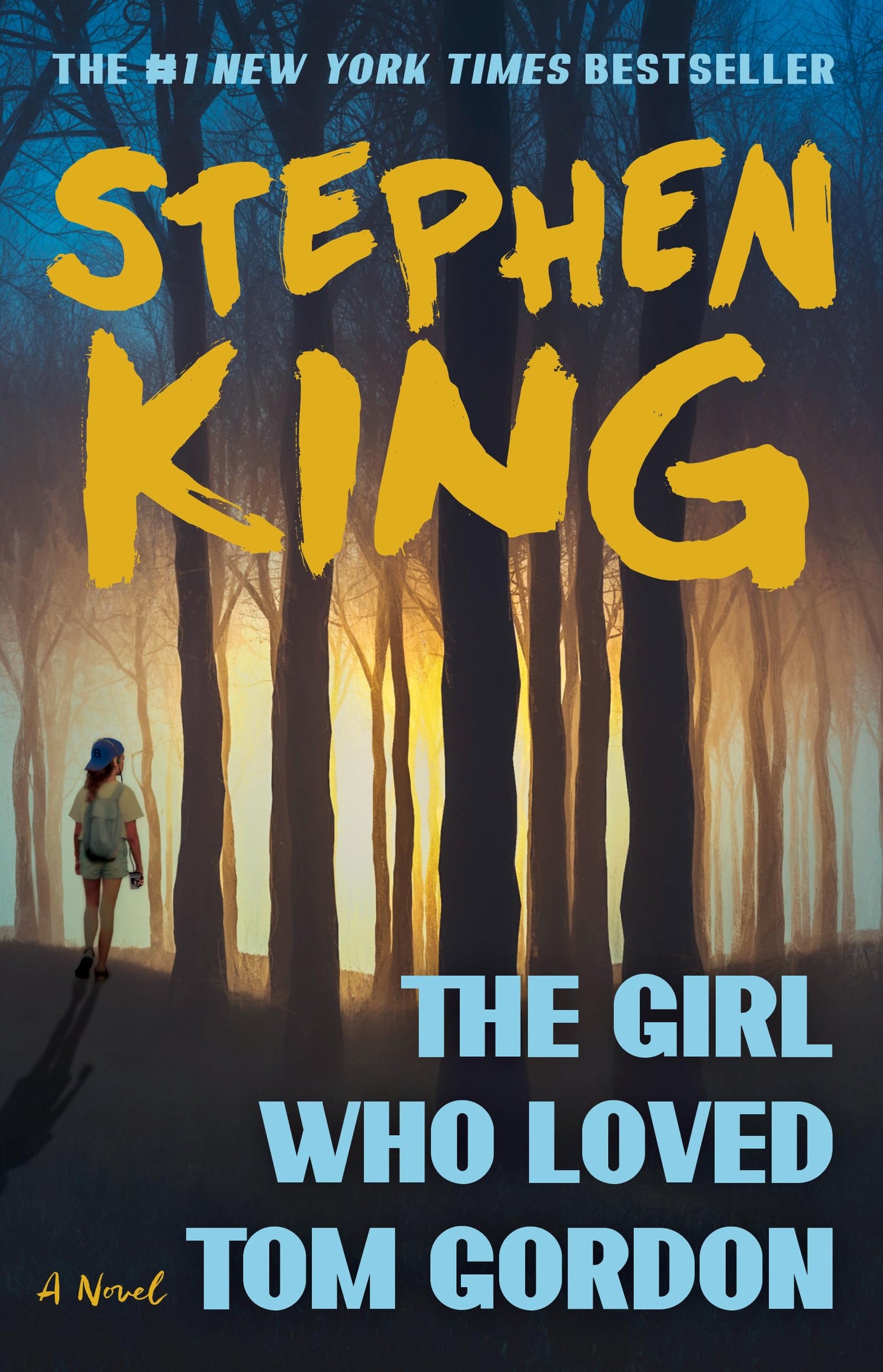 Girl Who Loved Tom Gordon book cover