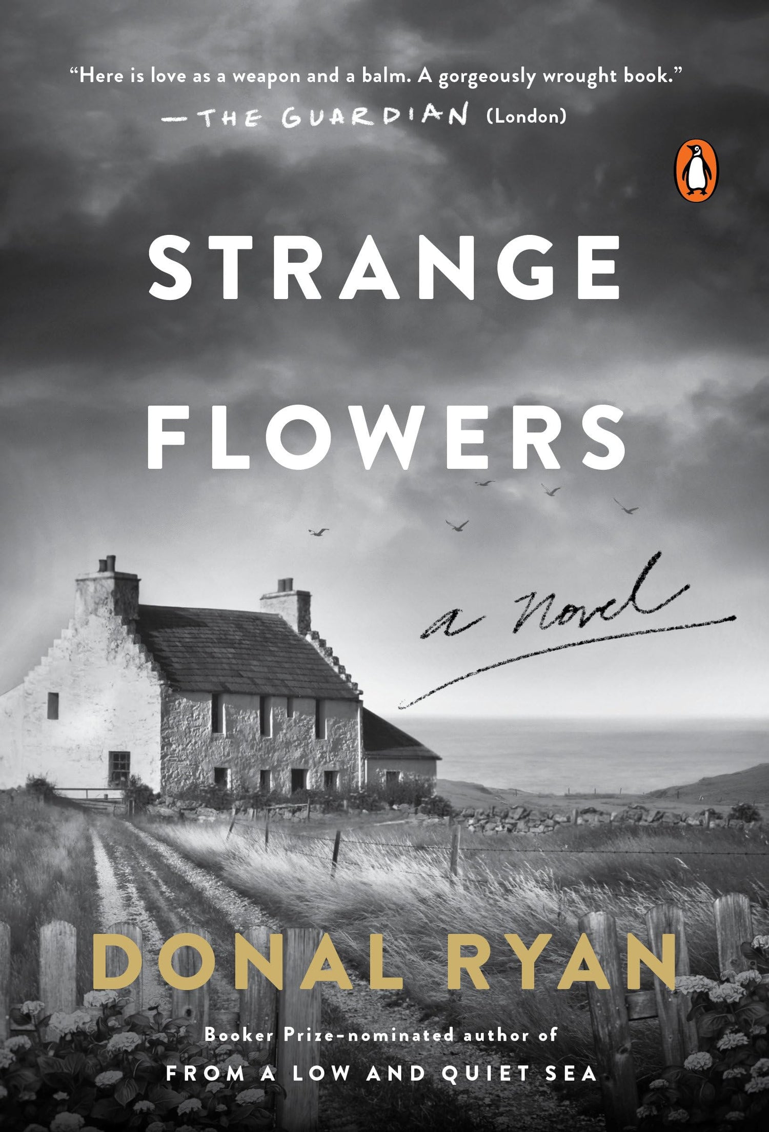 Strange Flowers book cover