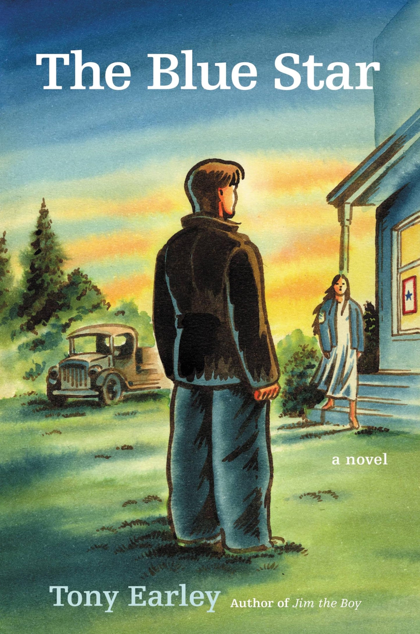 Blue Star book cover