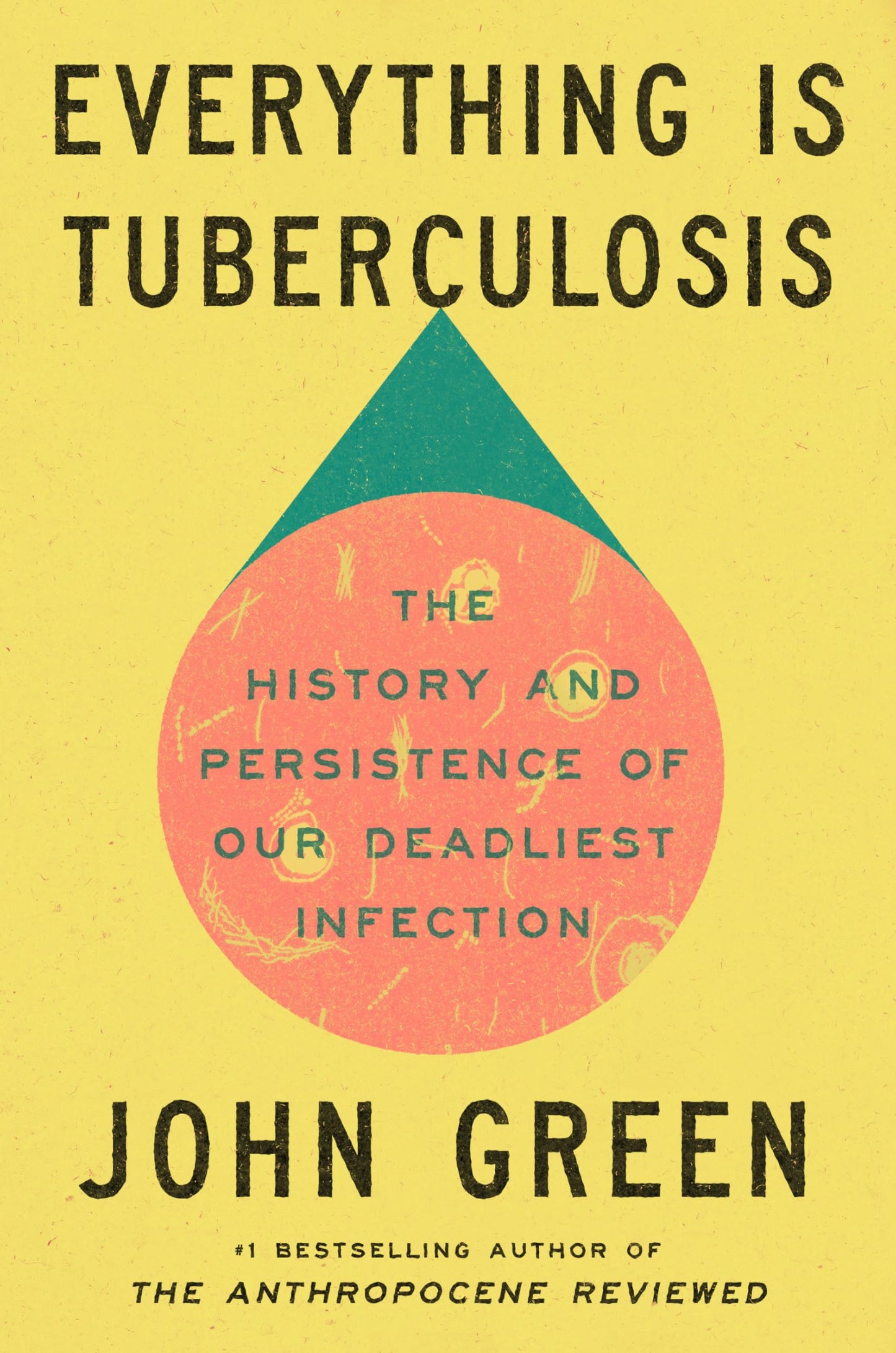 Everything Is Tuberculosis book cover