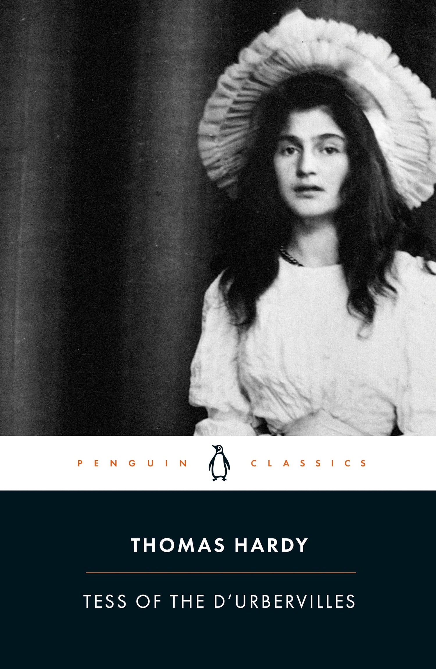 Tess of the d'Urbervilles book cover