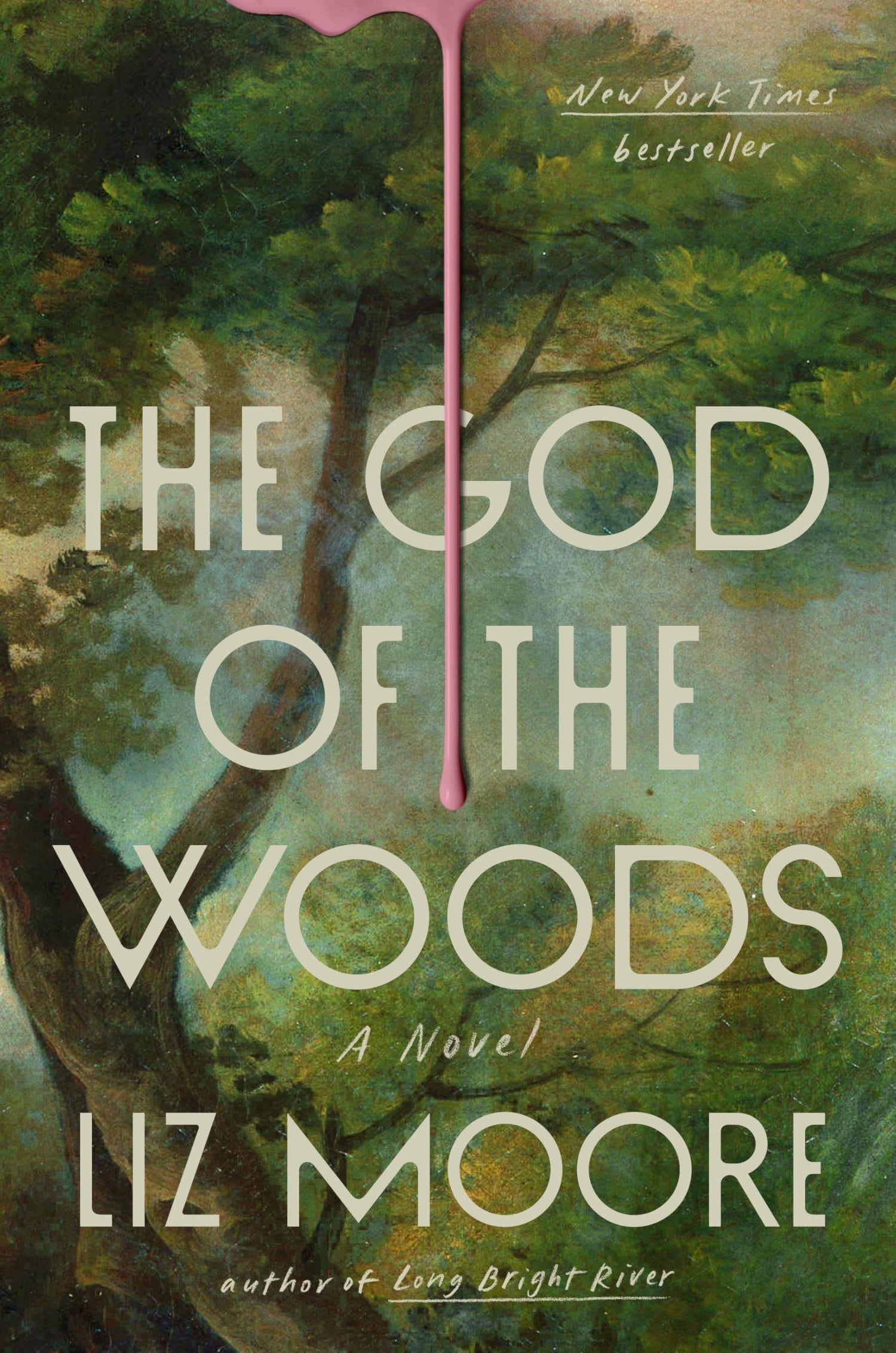 The God of the Woods: A Novel book cover