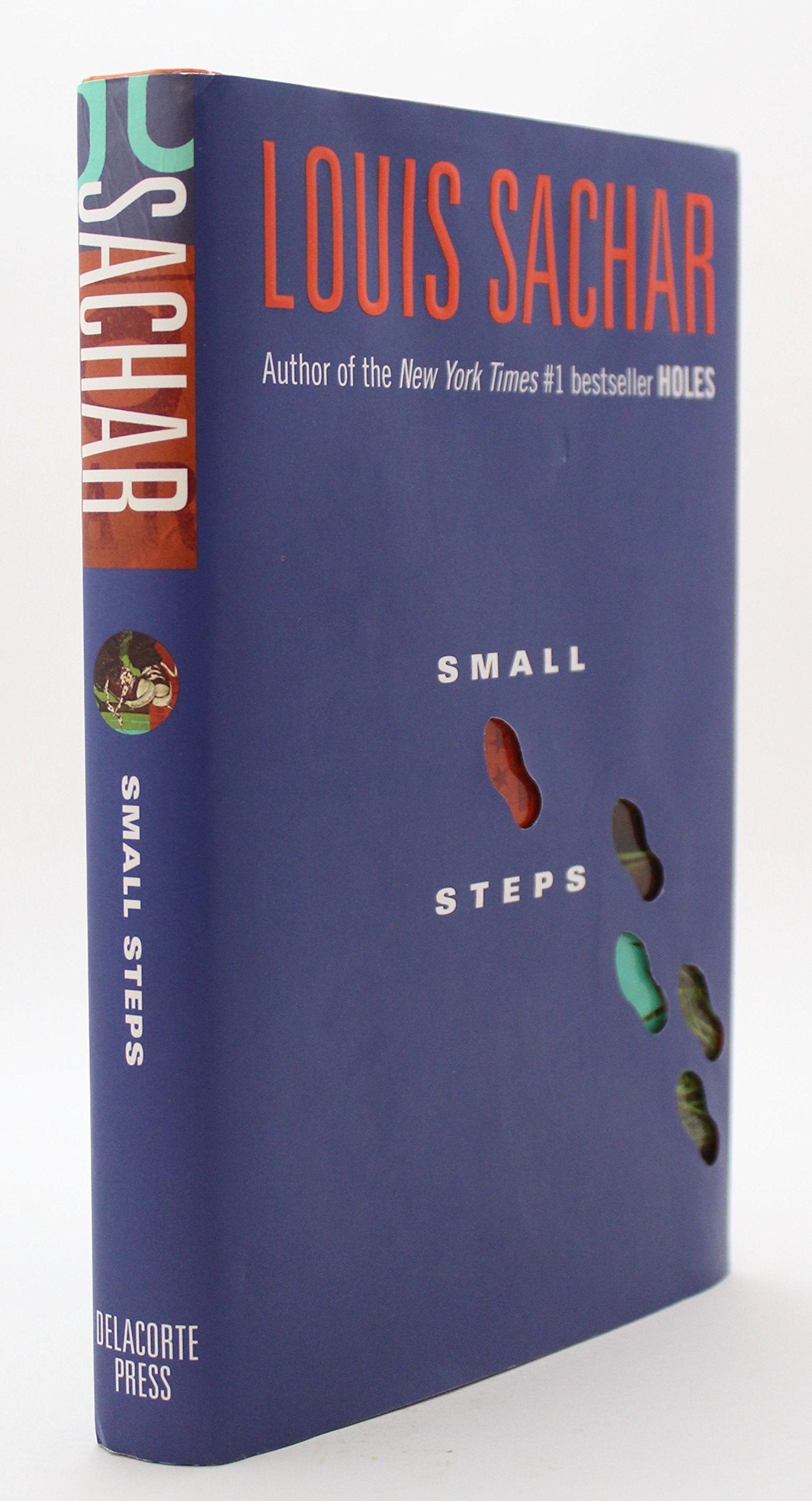 Small Steps book cover