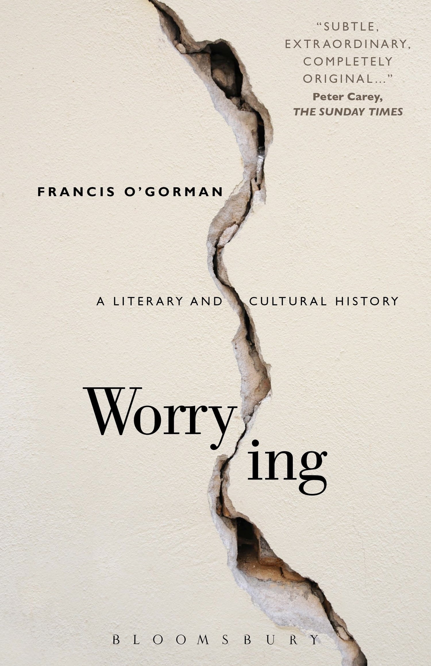 Worrying: A Literary and Cultural History book cover