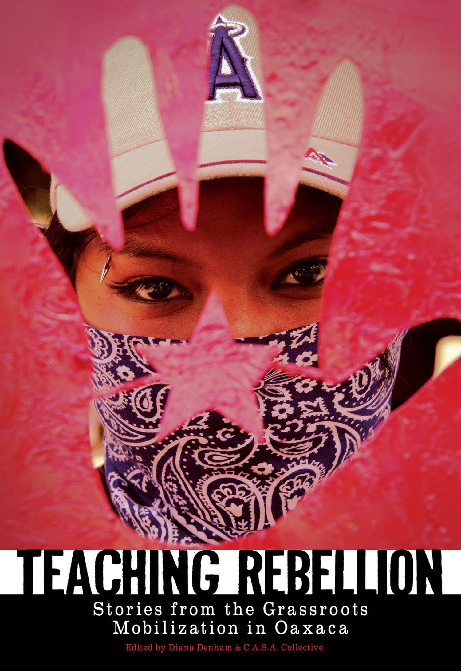 Teaching Rebellion: Stories from the Grassroots Mobilization in Oaxaca book cover