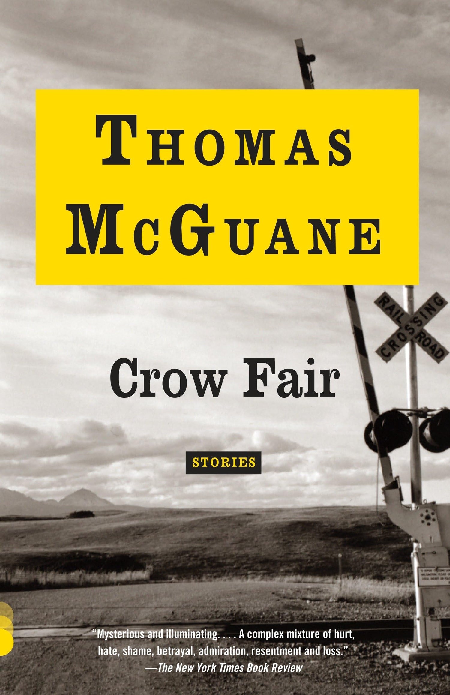 Crow Fair: Stories book cover