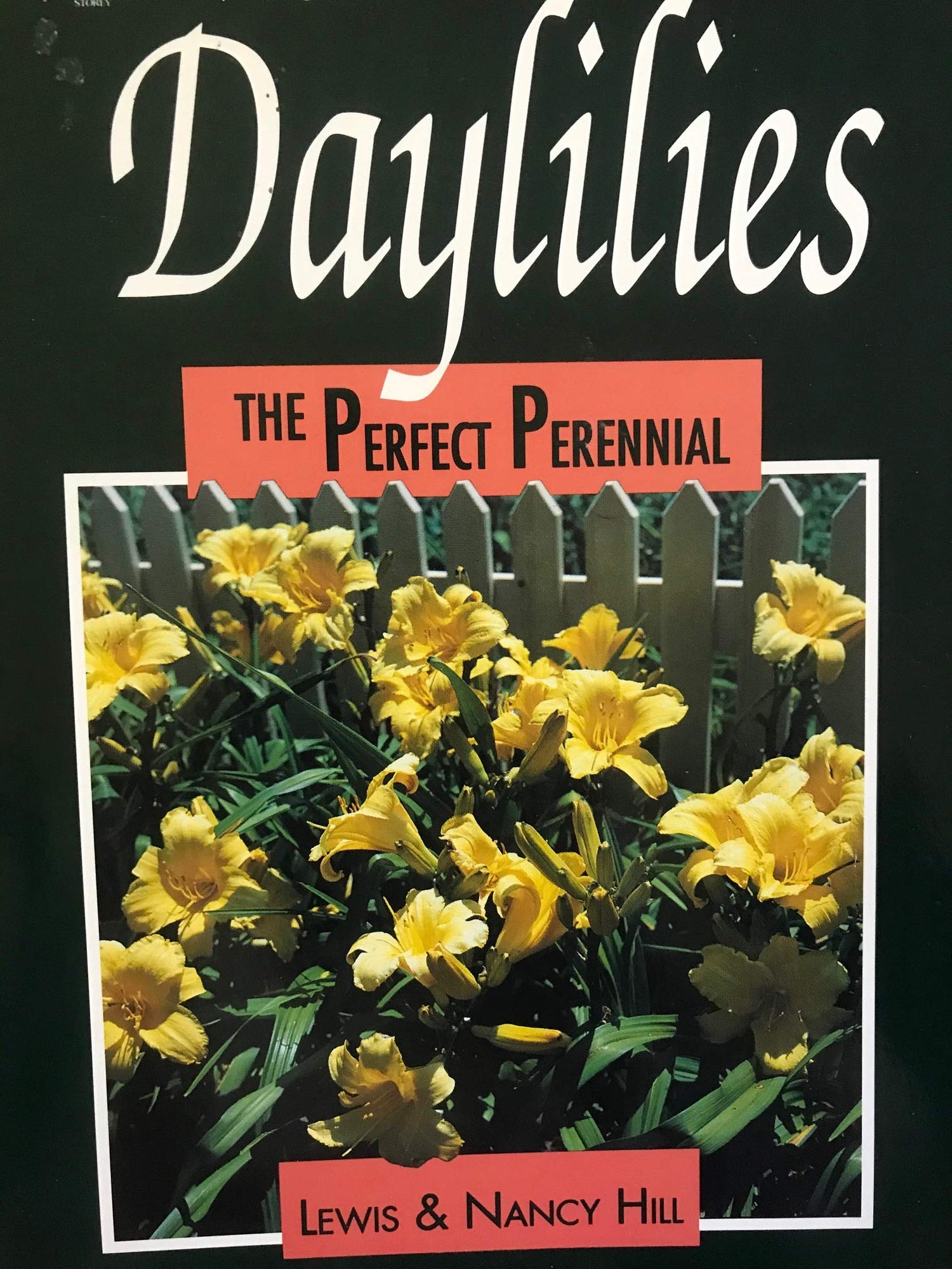 Daylilies: The Perfect Perennial book cover