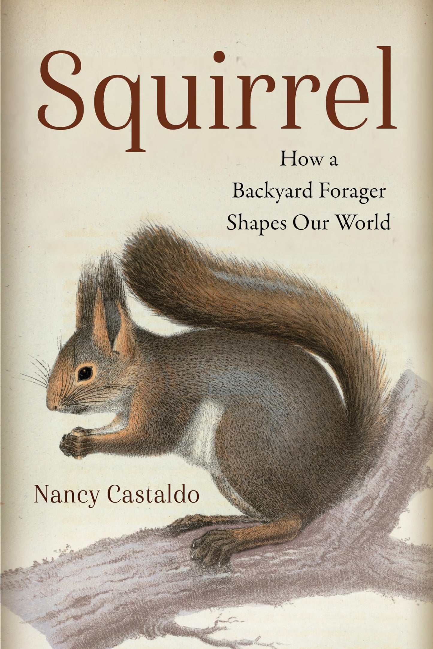 Squirrel book cover
