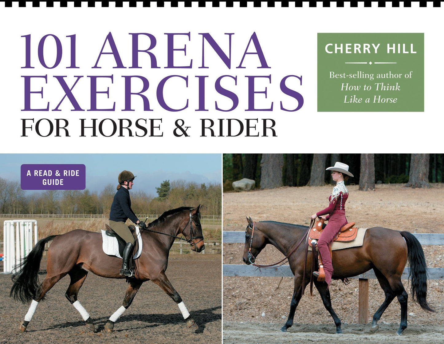 101 Arena Exercises for Horse & Rider book cover