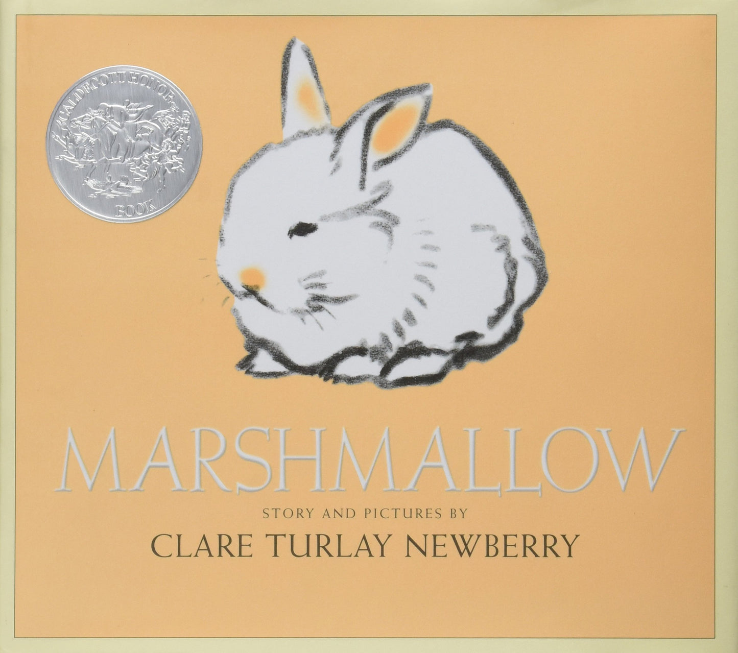 Marshmallow book cover