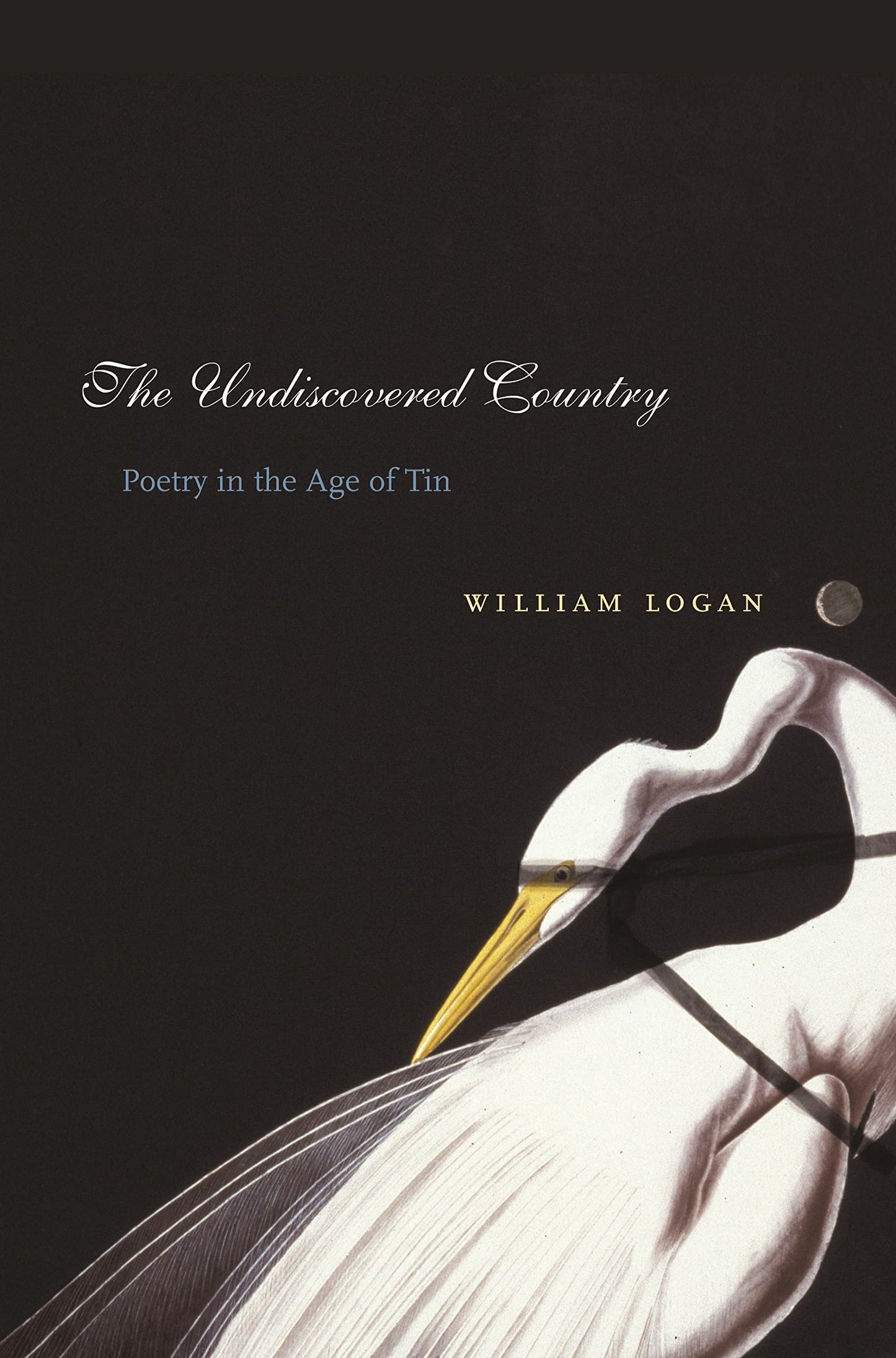 Undiscovered Country: Poetry in the Age of Tin book cover