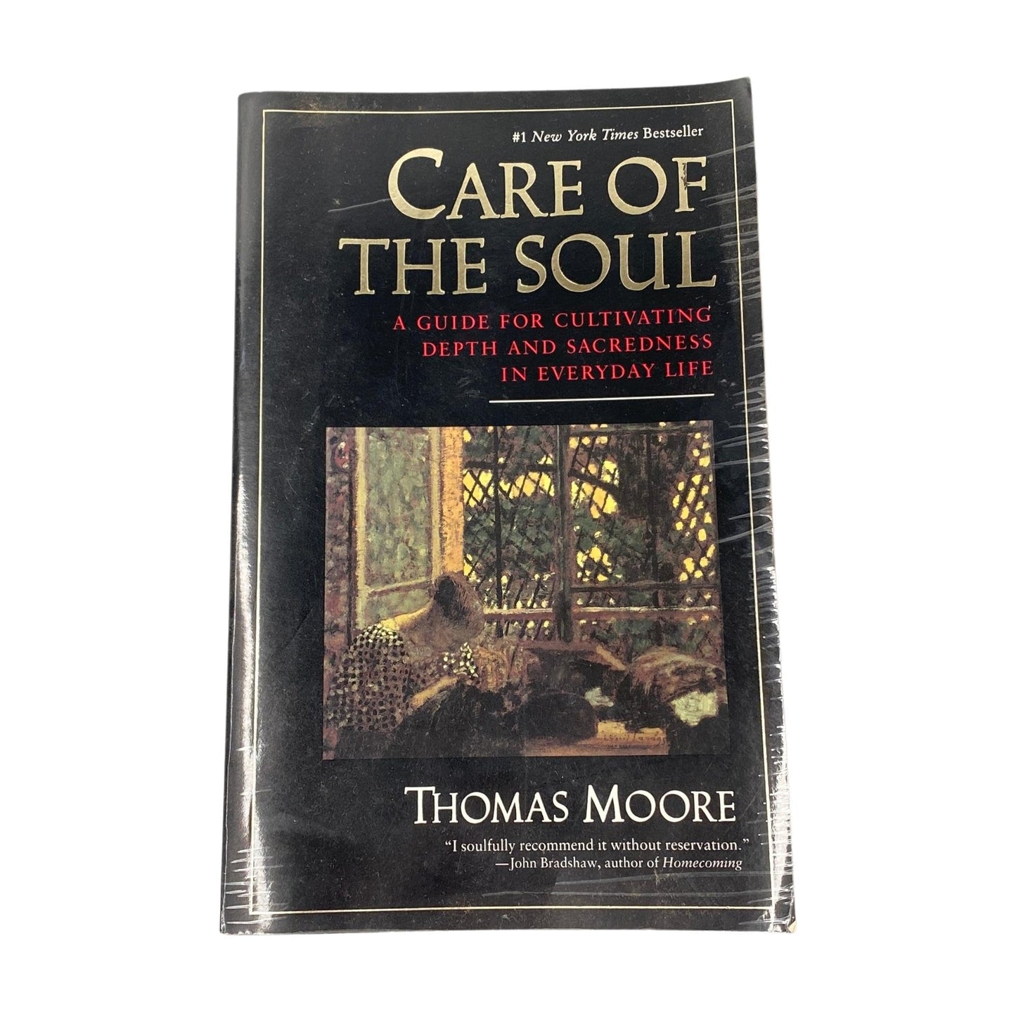 Care of the Soul: Guide for Cultivating Depth and Sacredness in Everyday Life, a