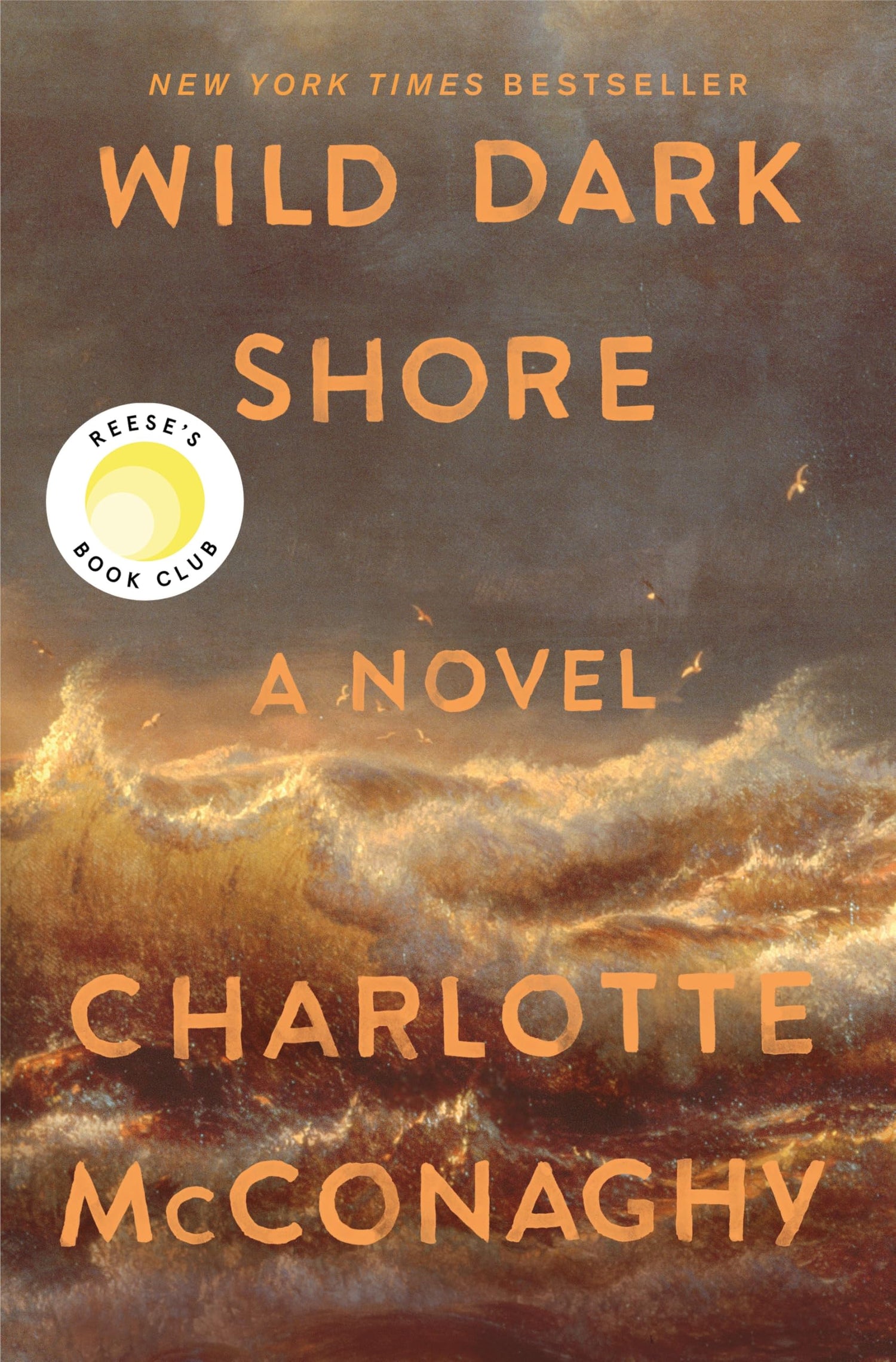 Wild Dark Shore book cover