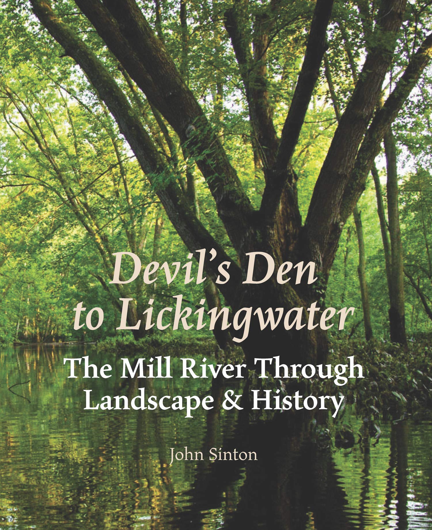 Devil's Den to Lickingwater: The Mill River Through Landscape & History book cover