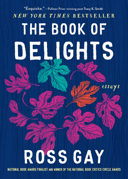 The Book of Delights book cover