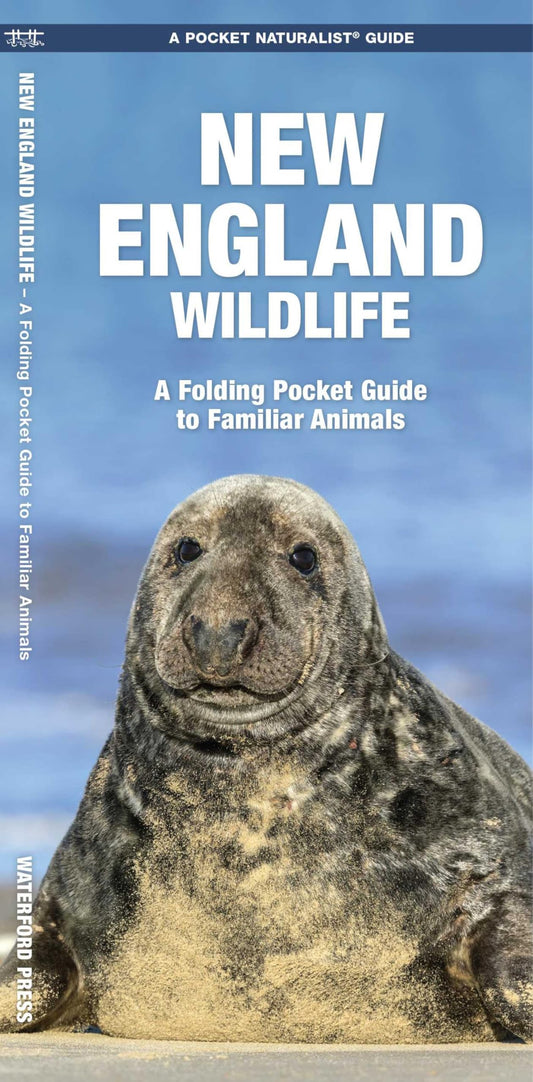New England Wildlife: A Folding Pocket Guide to Familiar Animals book cover