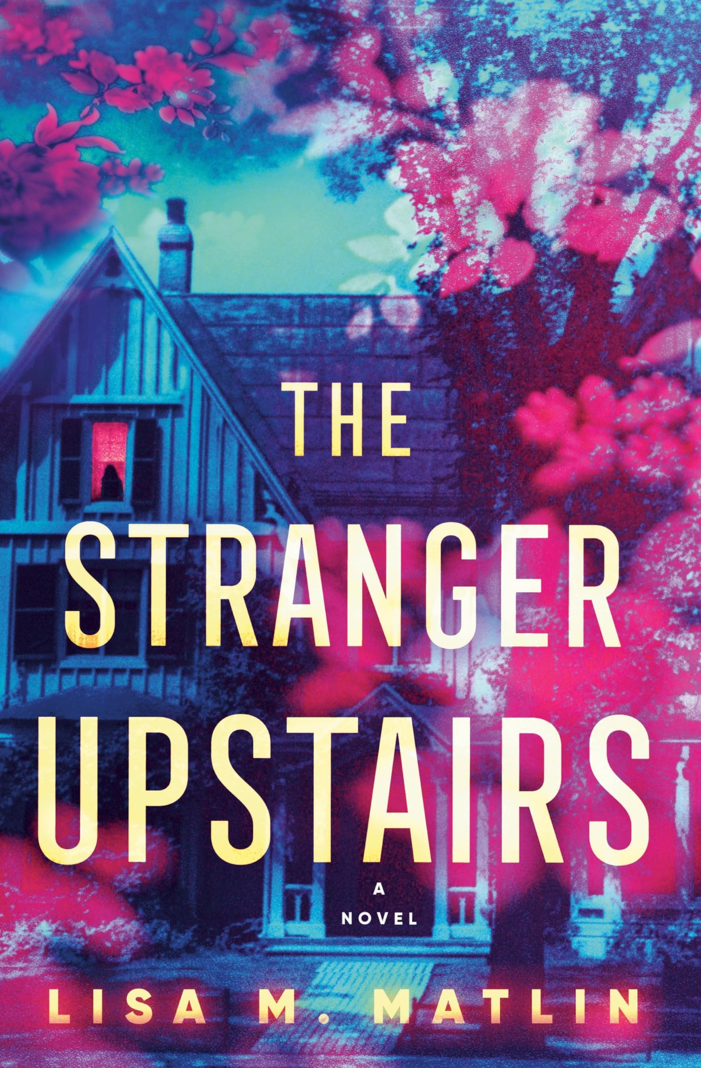 Stranger Upstairs book cover