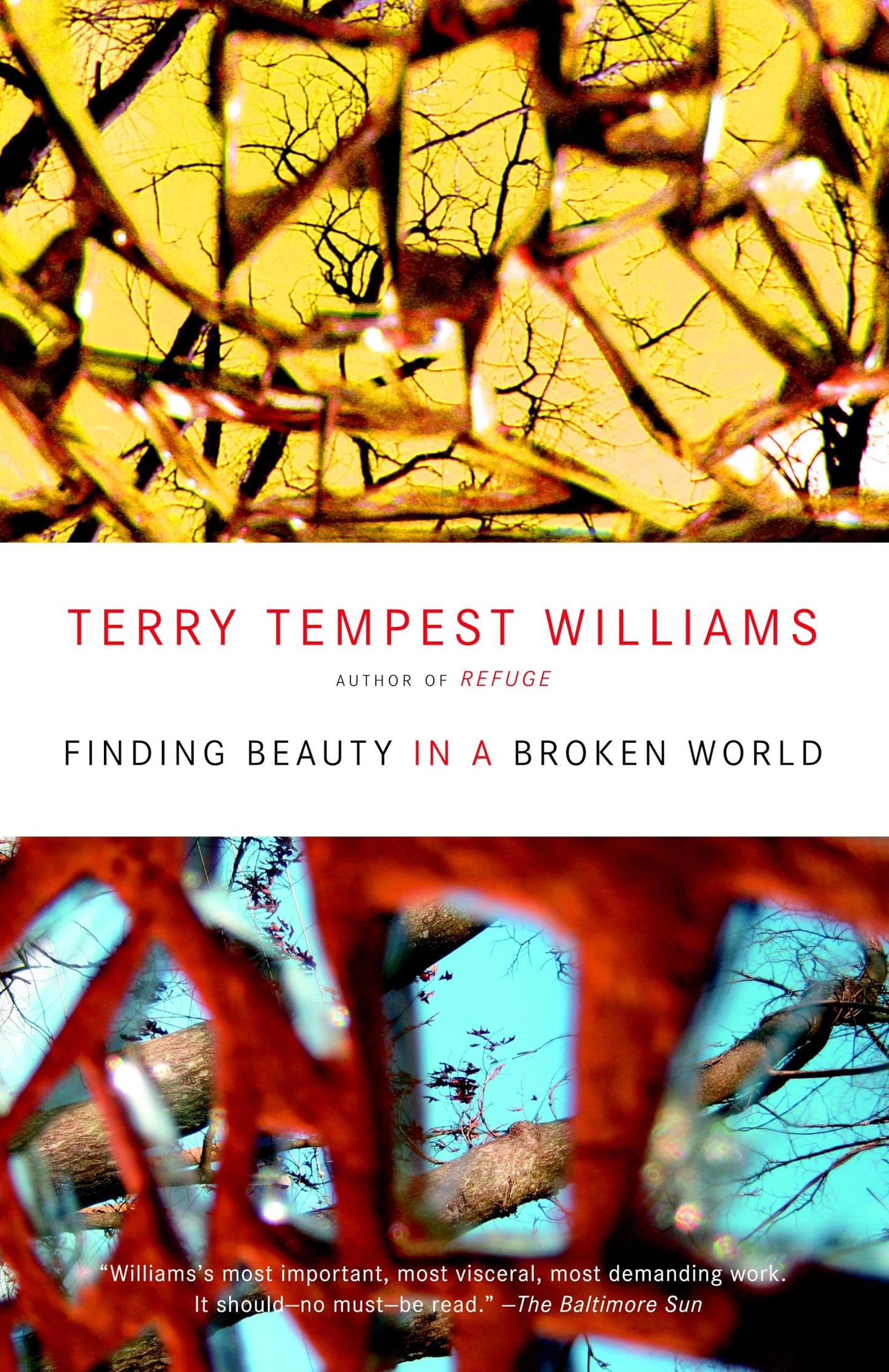 Finding Beauty in a Broken World book cover
