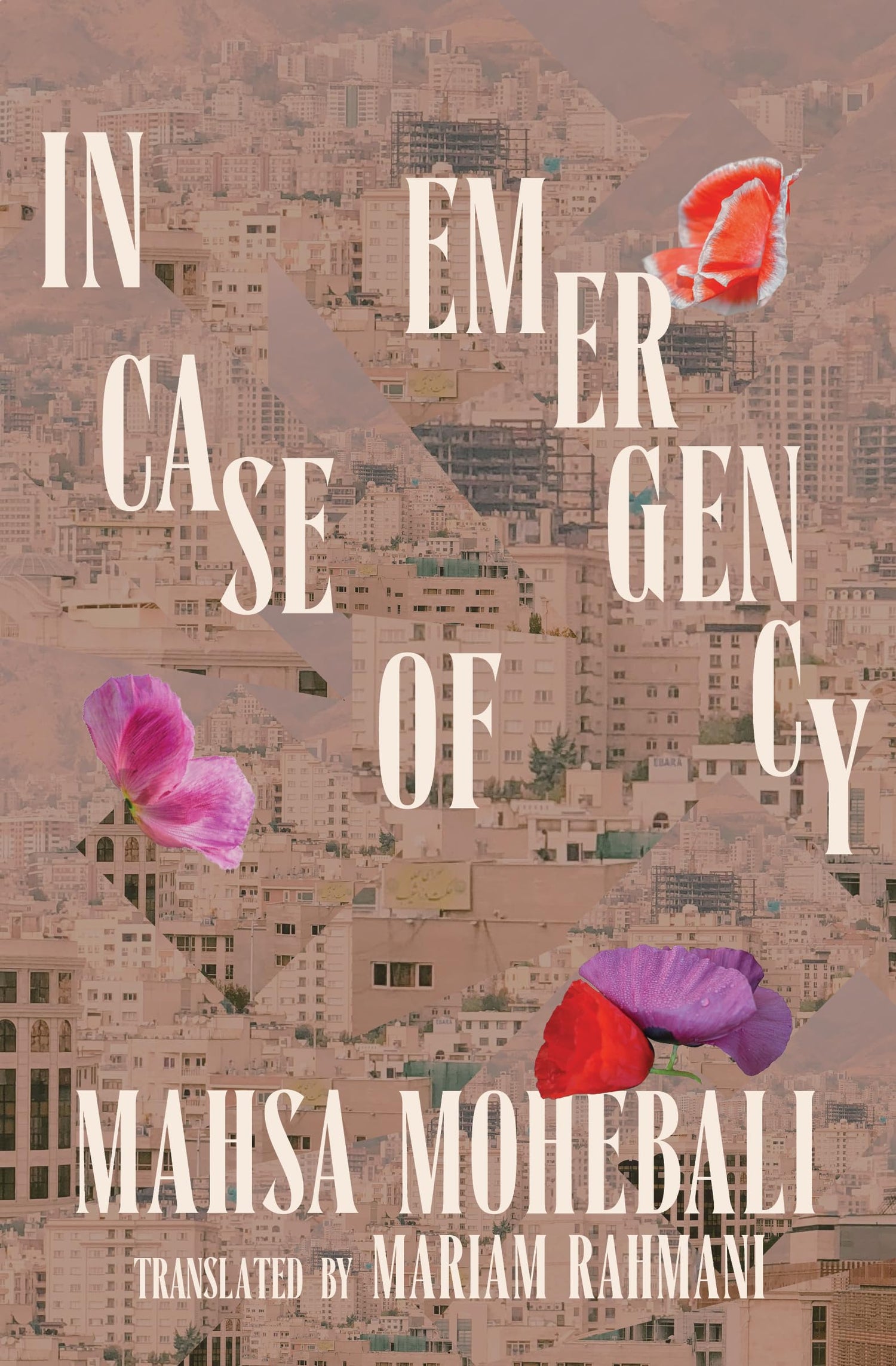 In Case of Emergency book cover