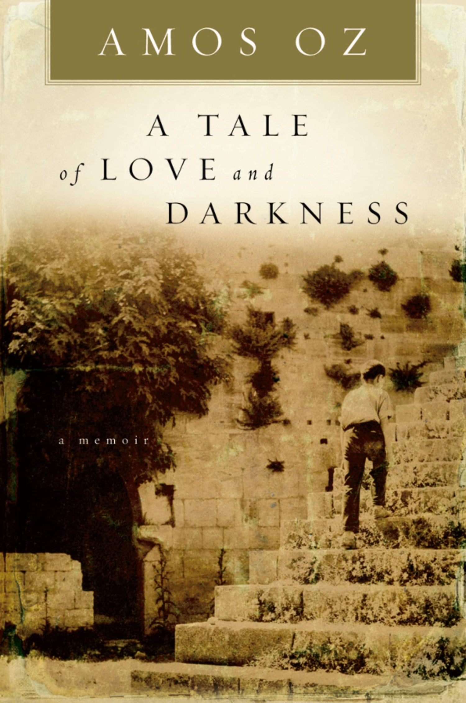 Tale of Love and Darkness book cover