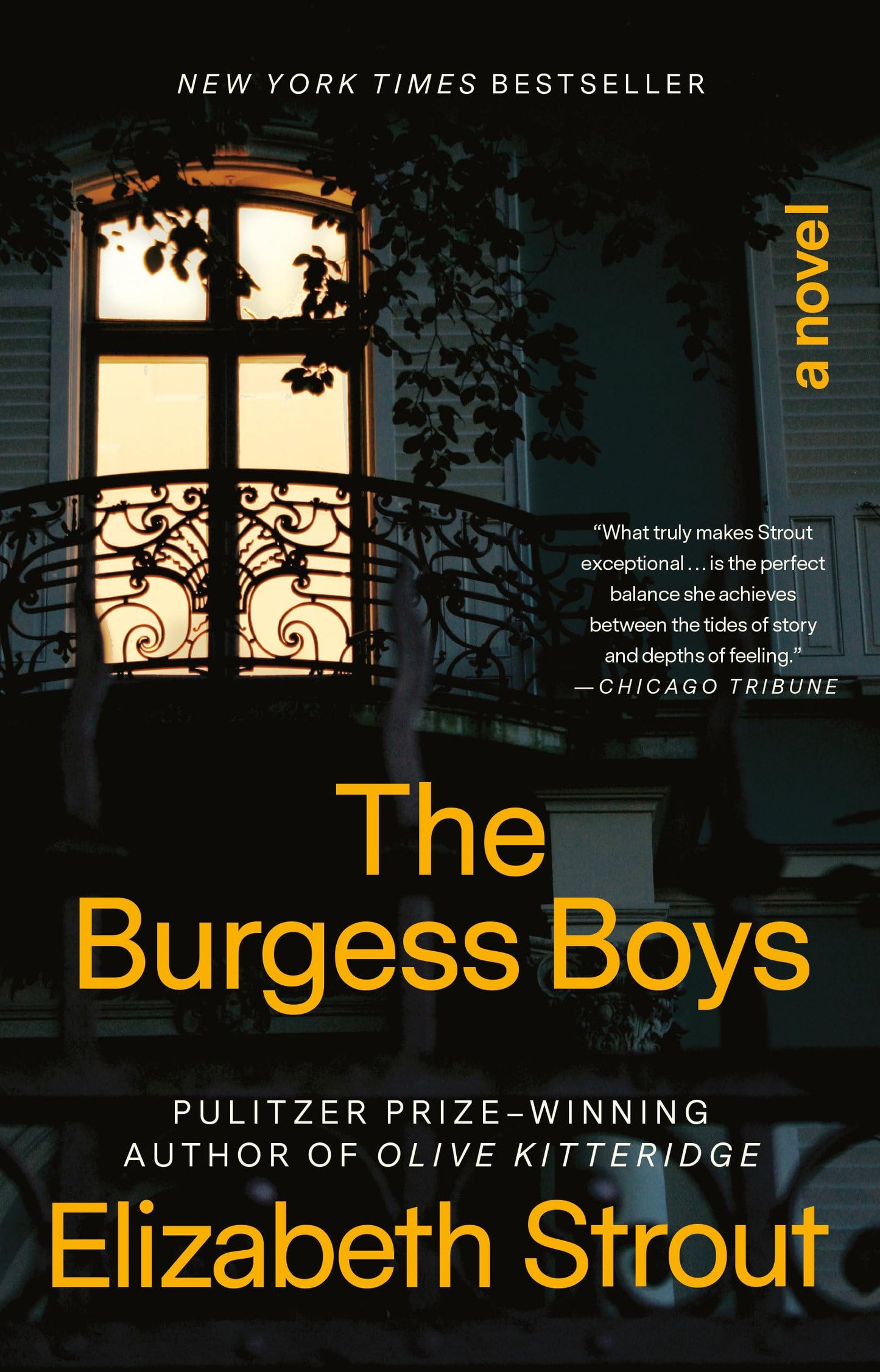 The Burgess Boys book cover