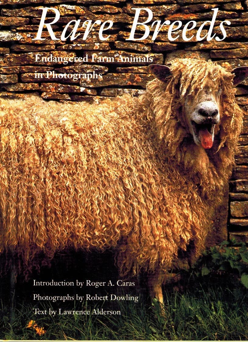 Rare Breeds (North American) book cover