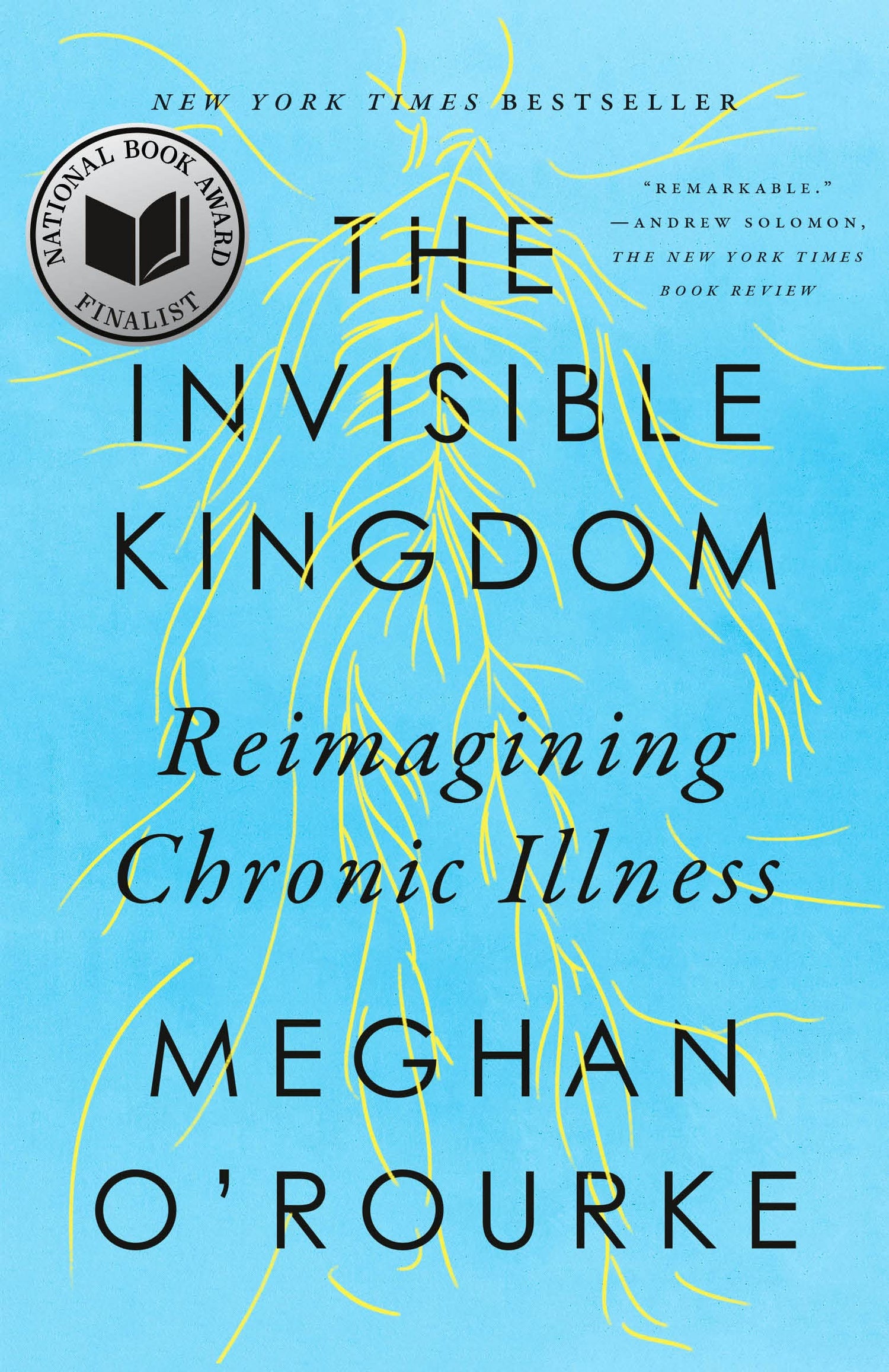 Invisible Kingdom: Reimagining Chronic Illness book cover