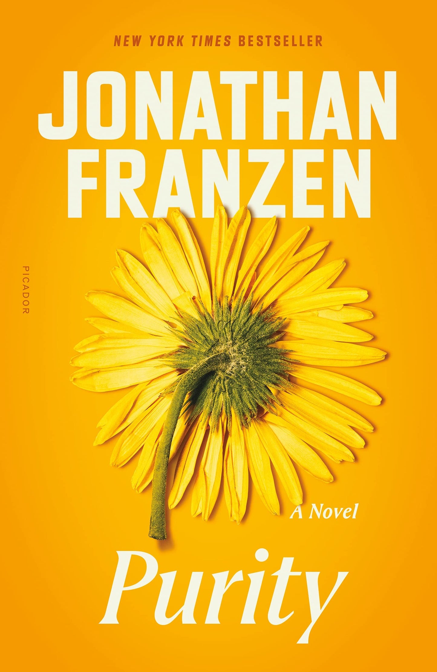 Purity book cover