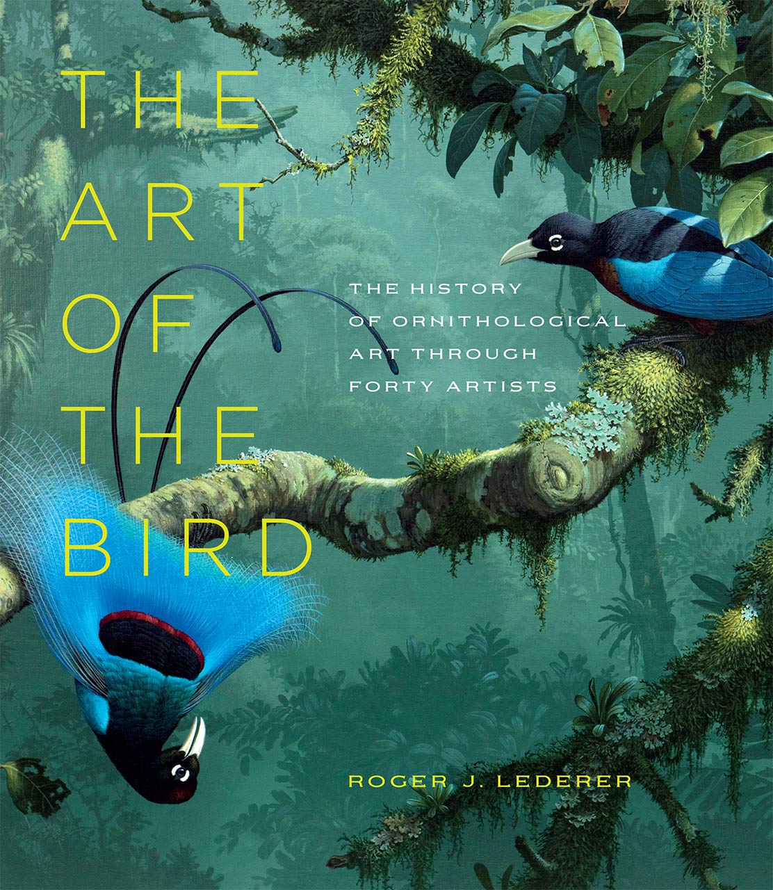 Art of the Bird: The History of Ornithological Art Through Forty Artists book cover