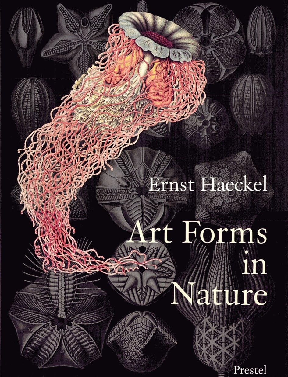 Art Forms in Nature: The Prints of Ernst Haeckel book cover