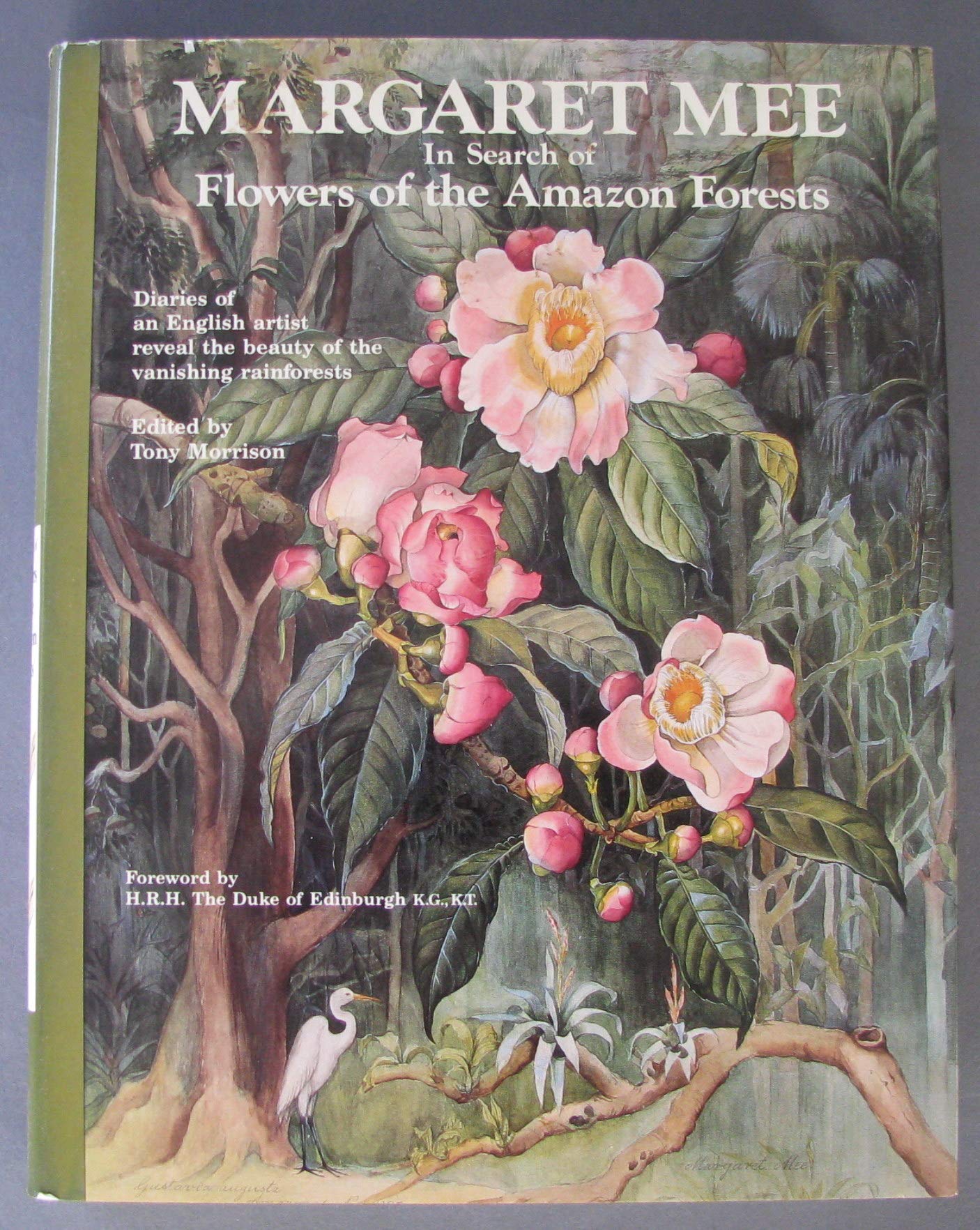 Margaret Mee: In Search of Flowers of the Amazon Forests: Diaries of an English Artist Reveal the Beauty of the Vanishing Rainforest book cover