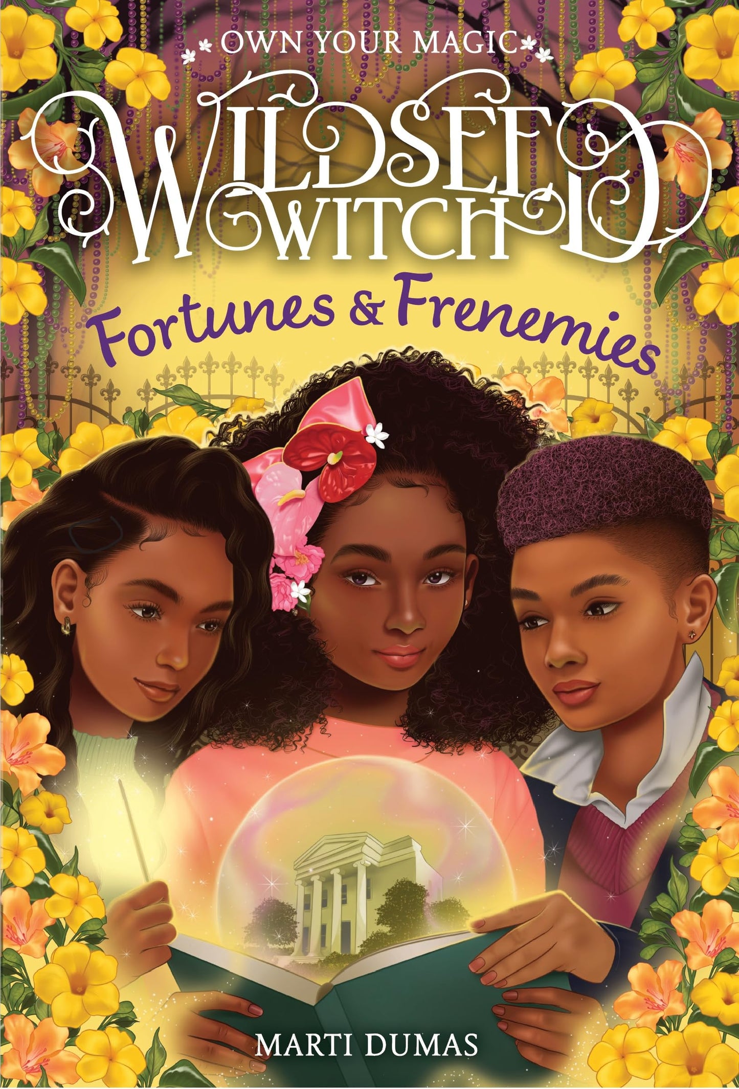 Fortunes & Frenemies book cover