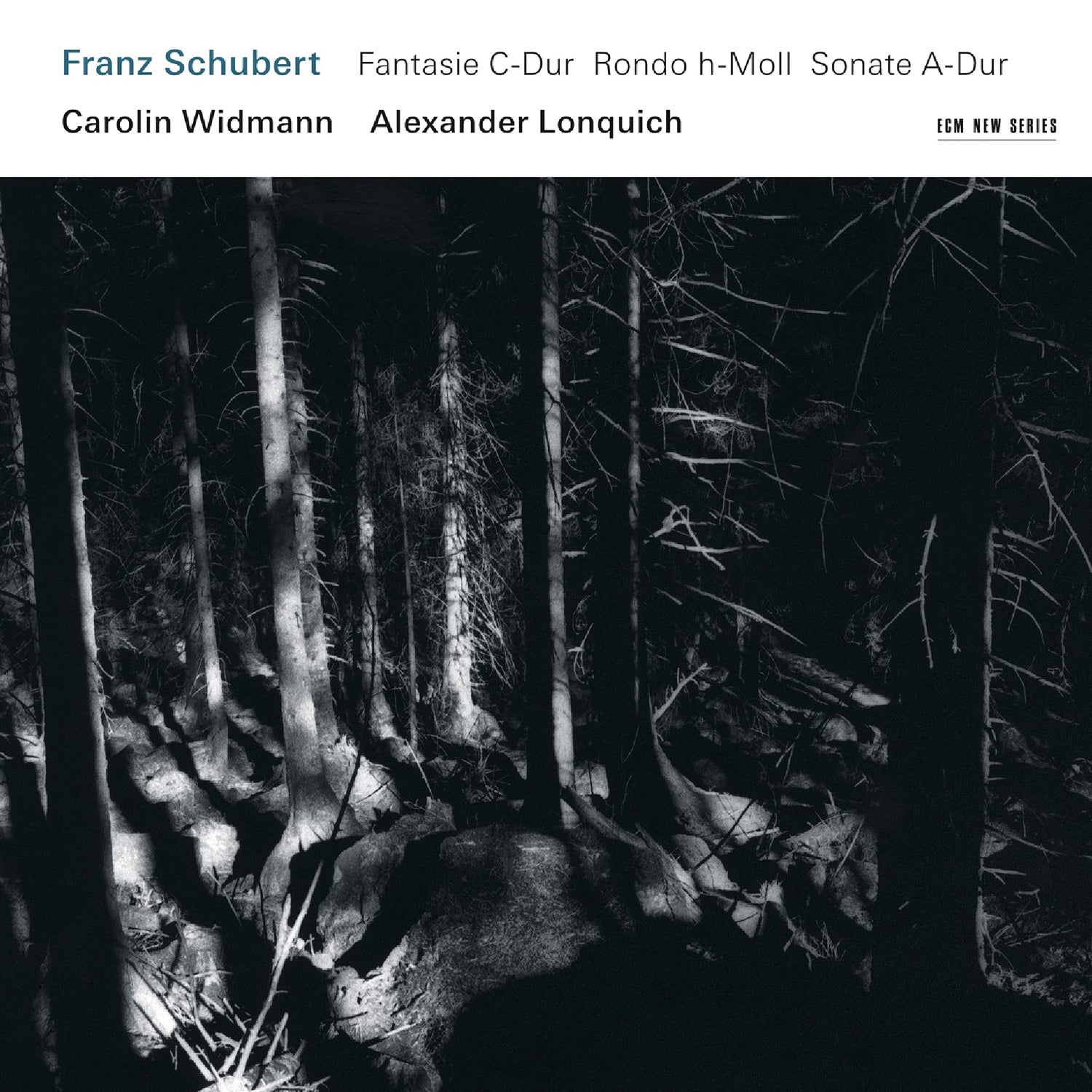 Franz Schubert book cover