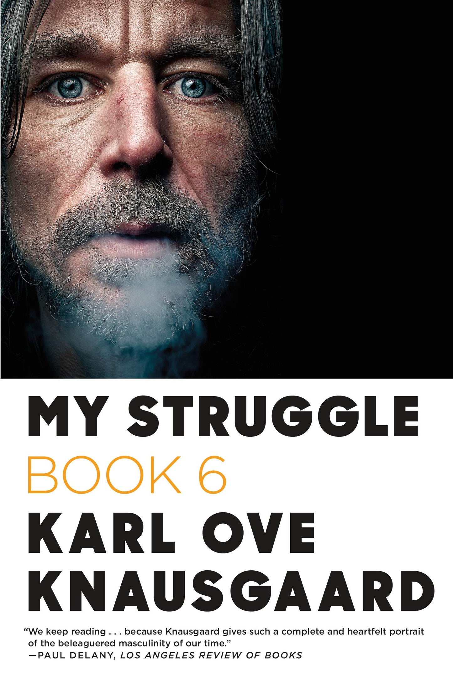 My Struggle: Book 6 book cover