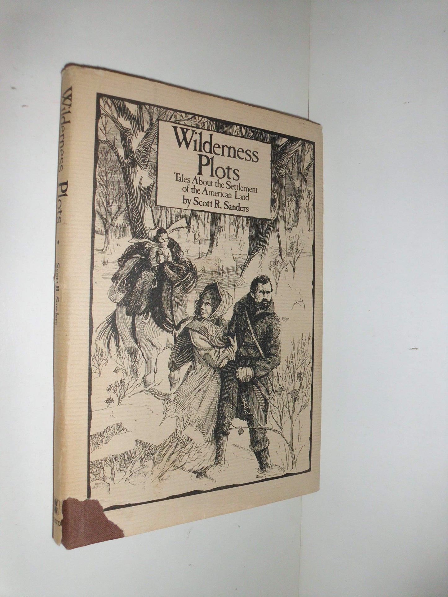 Wilderness plots: Tales about the settlement of the American land book cover