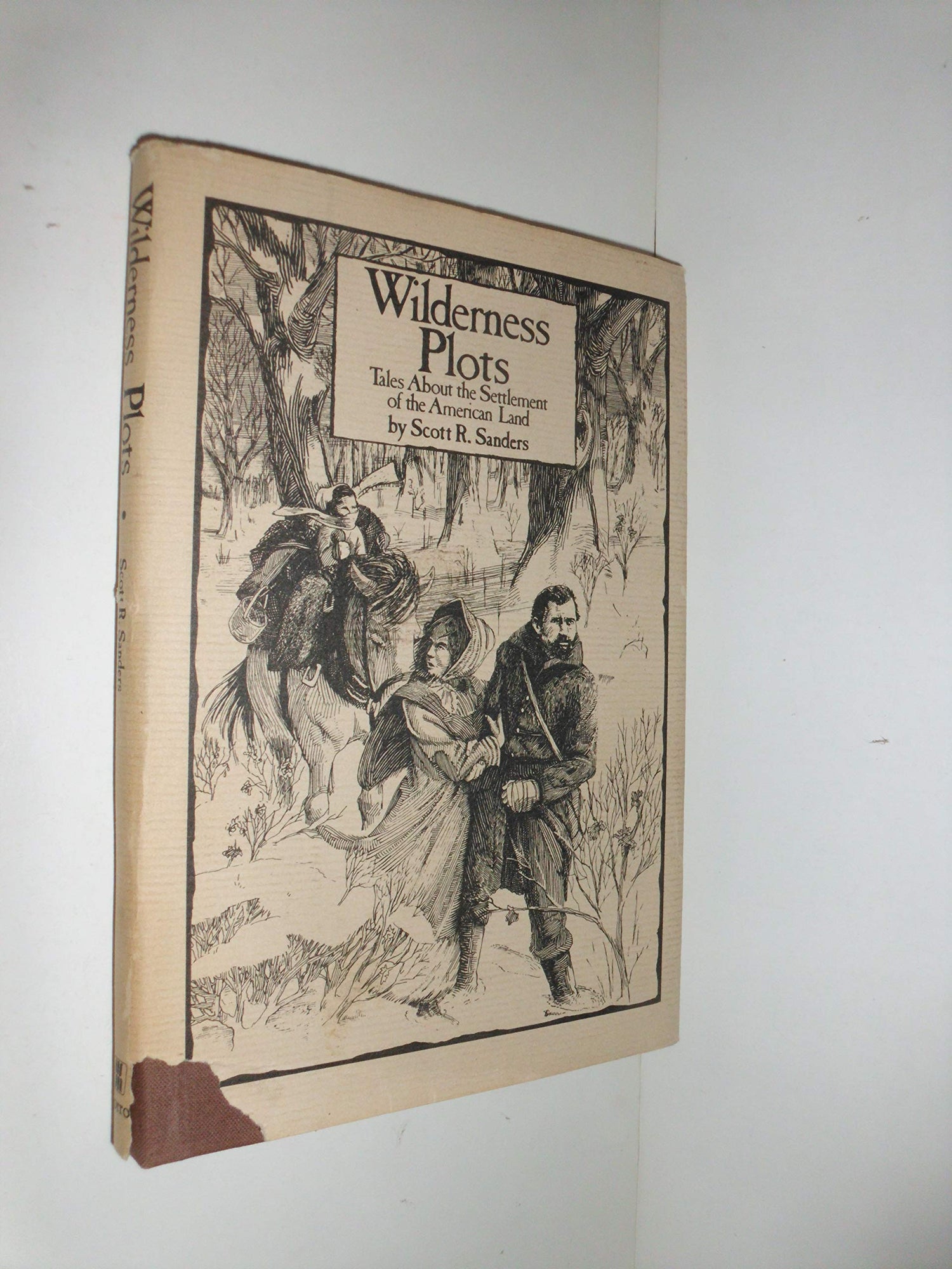 Wilderness plots: Tales about the settlement of the American land book cover