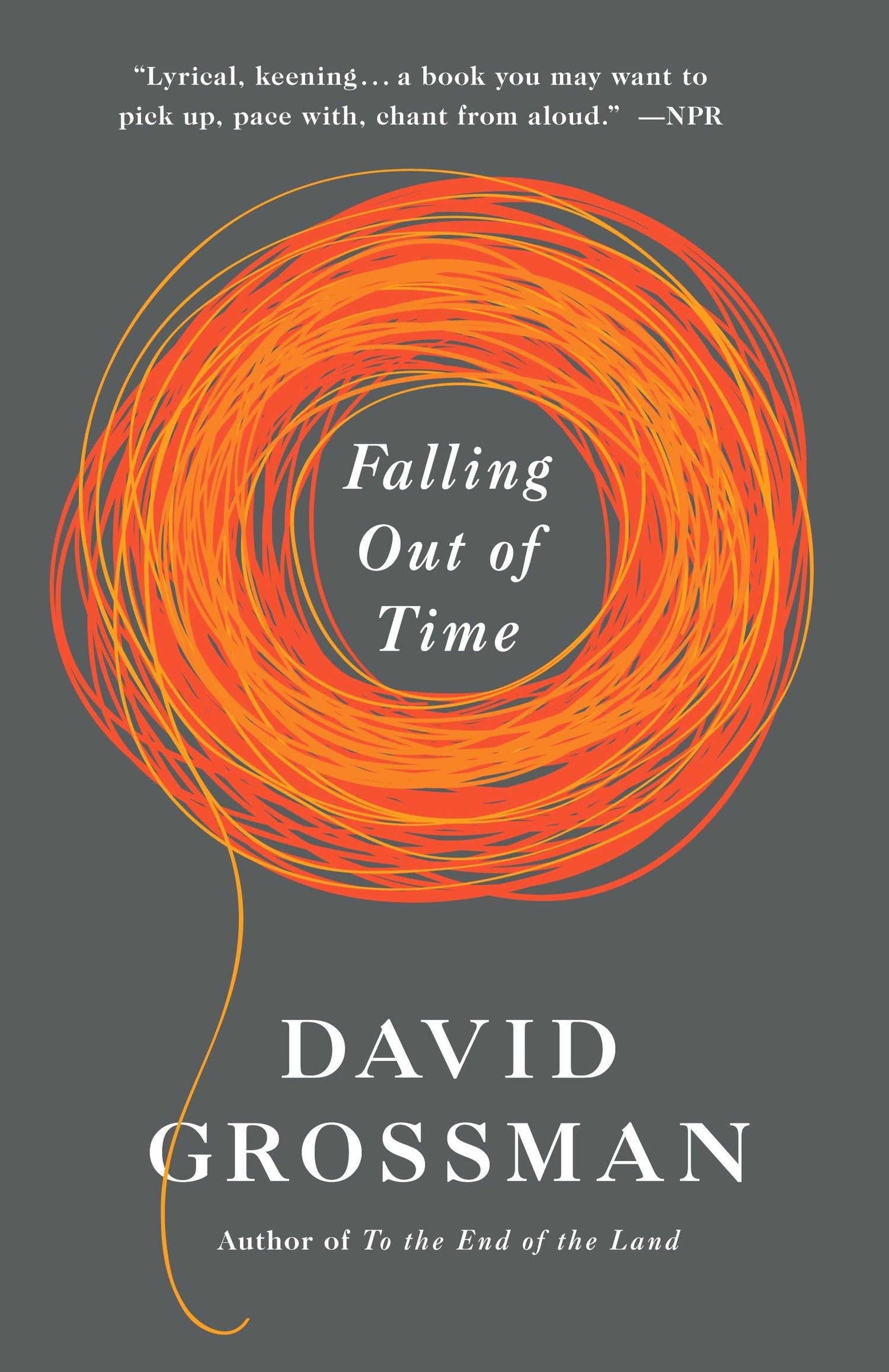 Falling Out of Time book cover