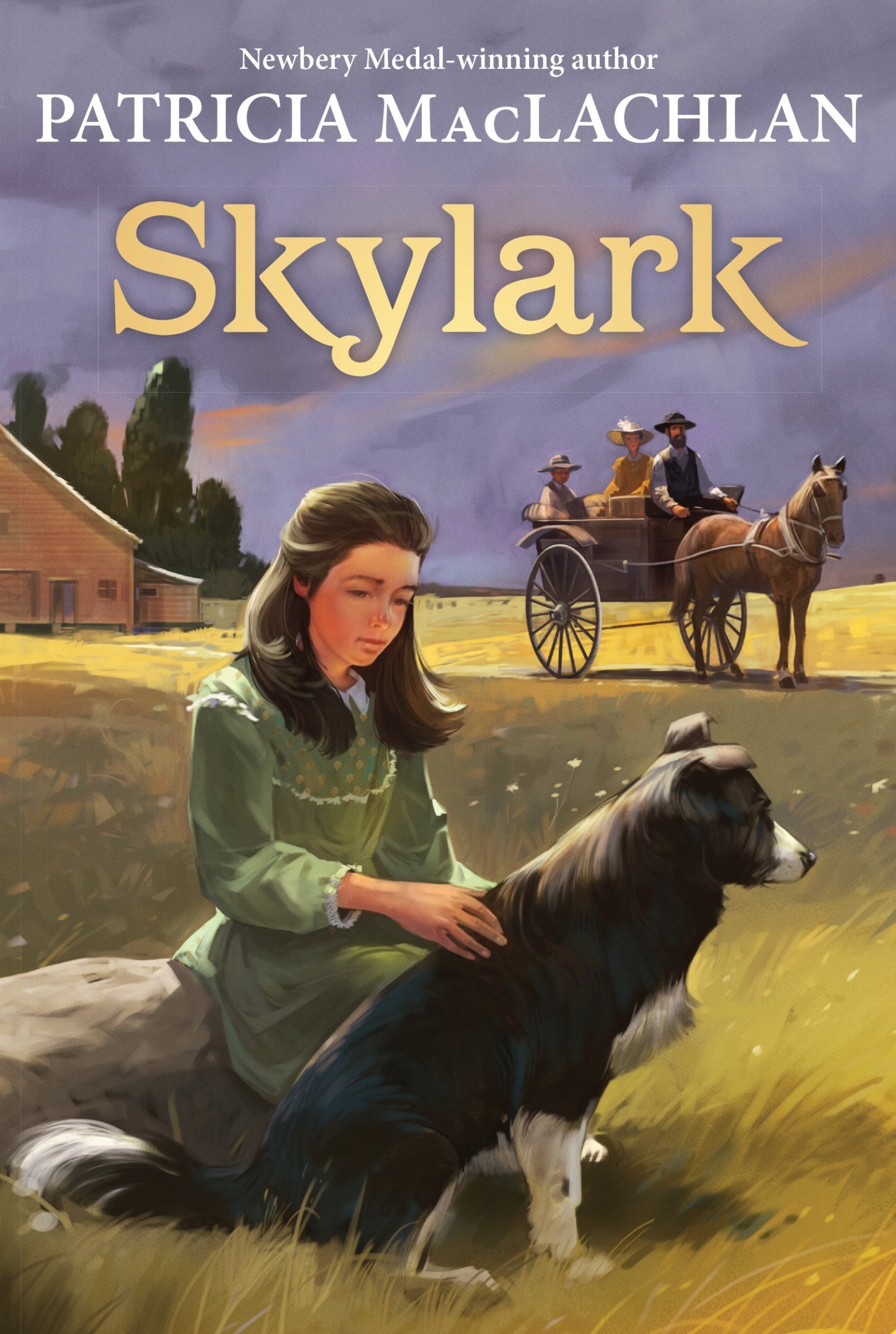 Skylark book cover