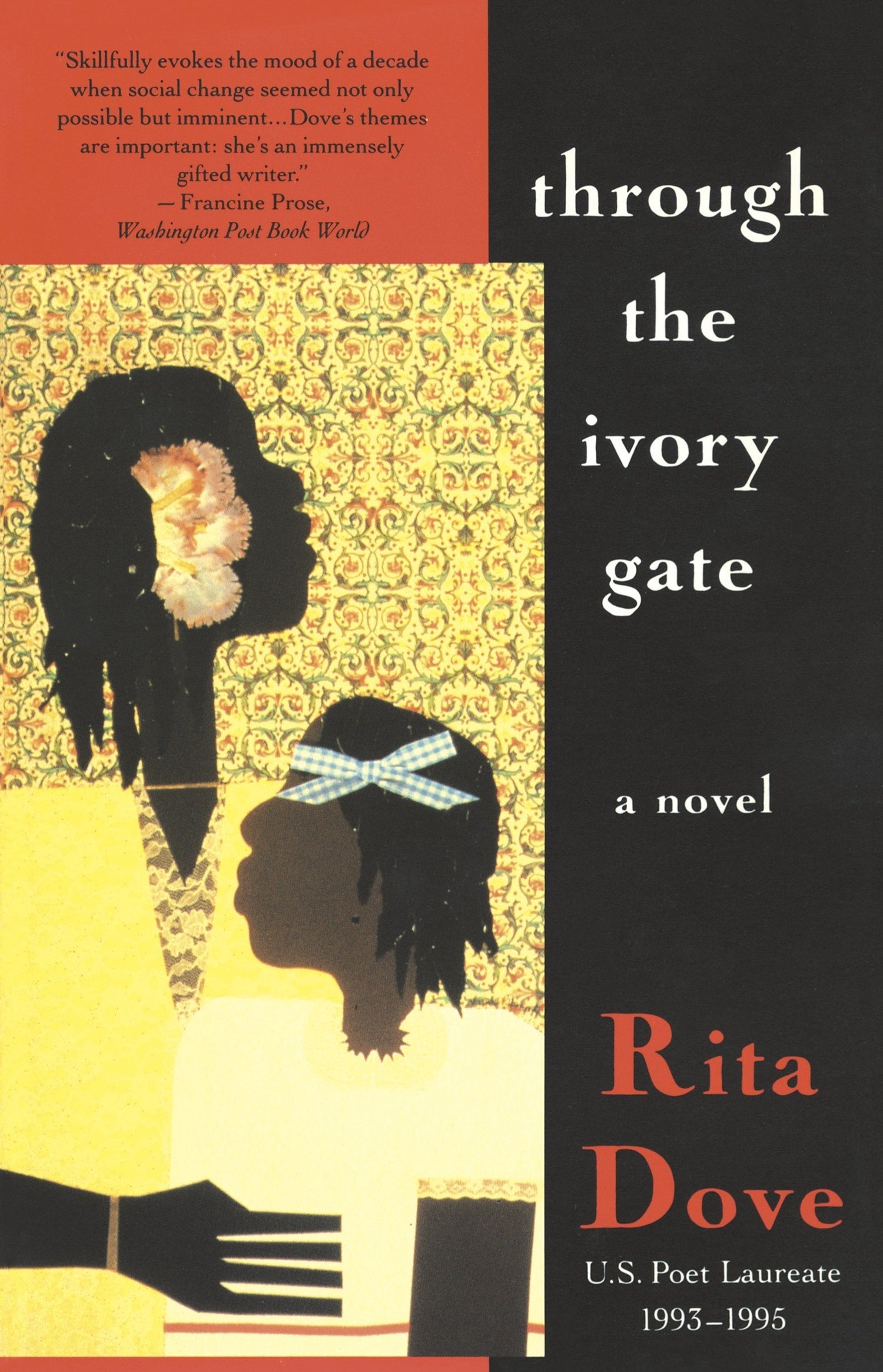 Through the Ivory Gate book cover