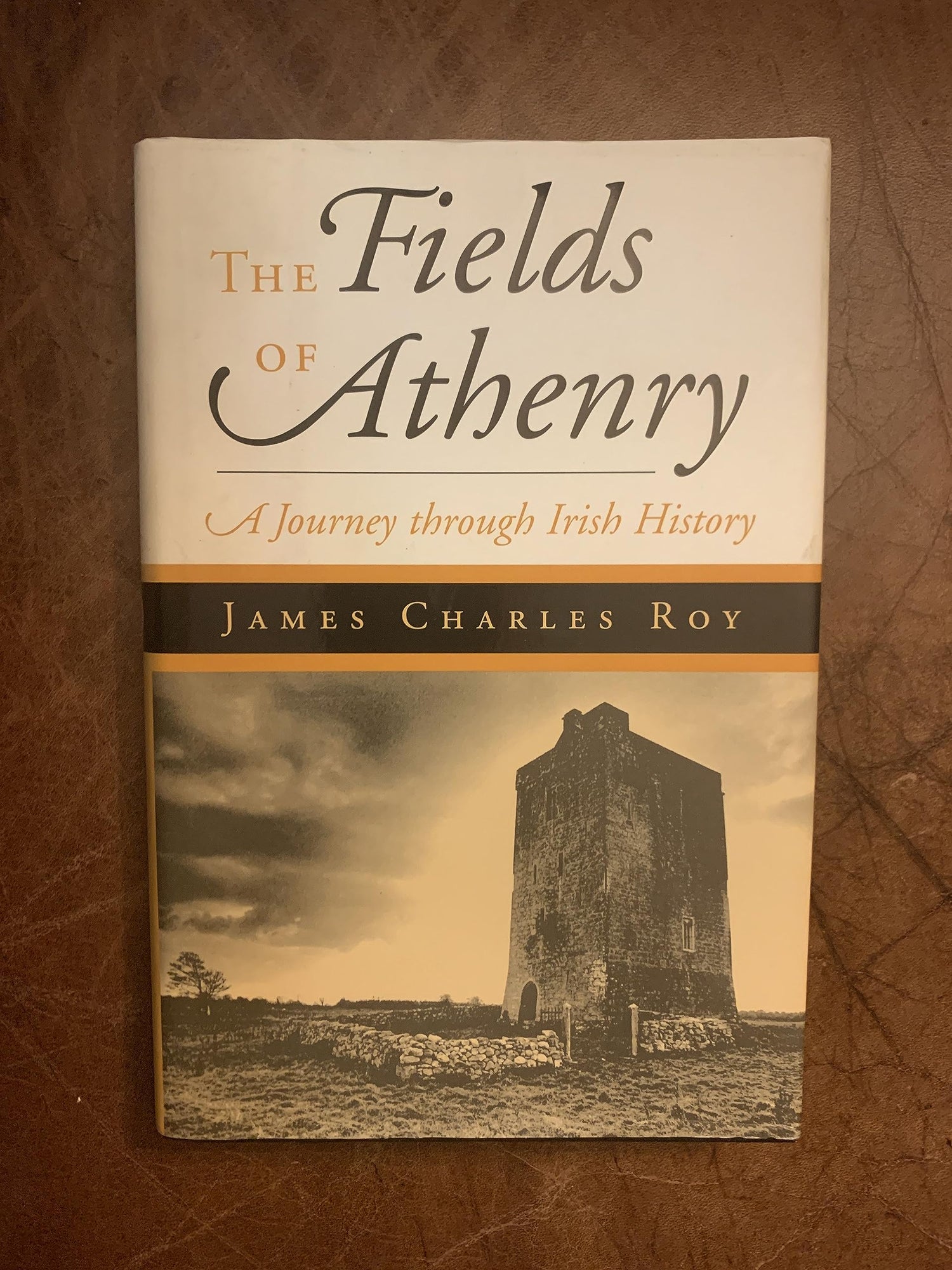 Fields of Athenry: An Irish Saga book cover