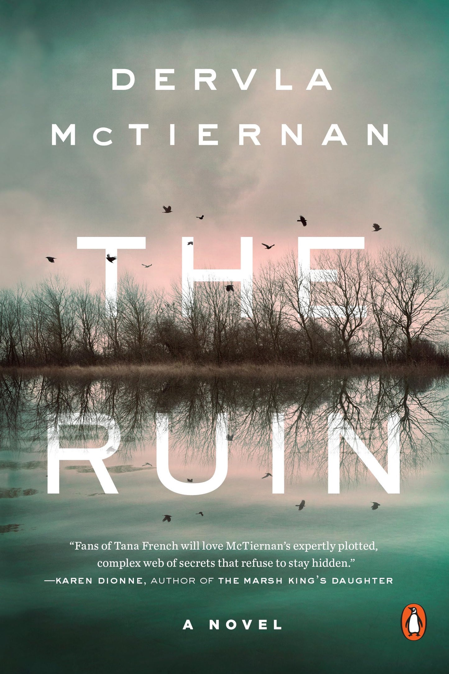 Ruin book cover