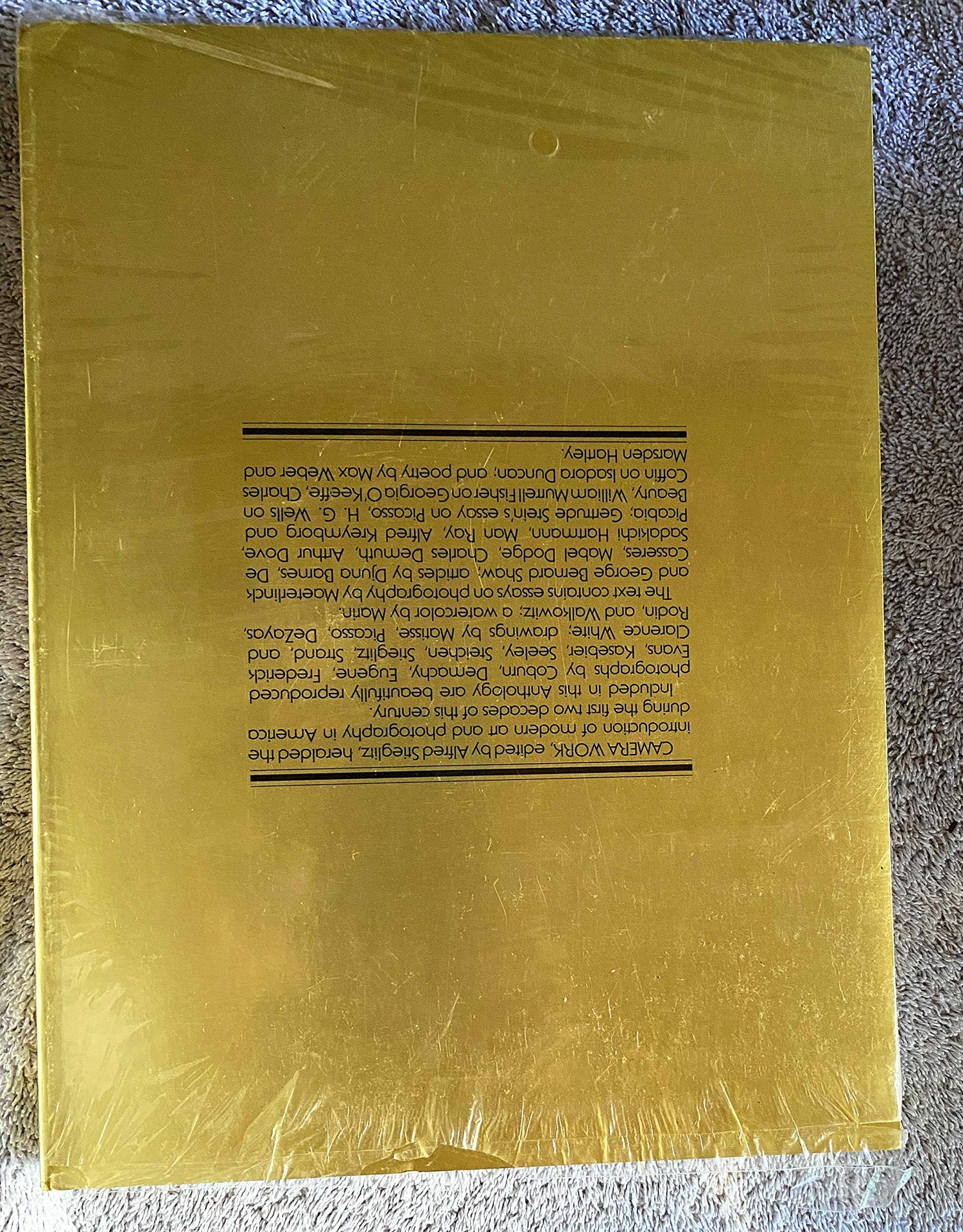 Camera Work: A Critical Anthology book cover